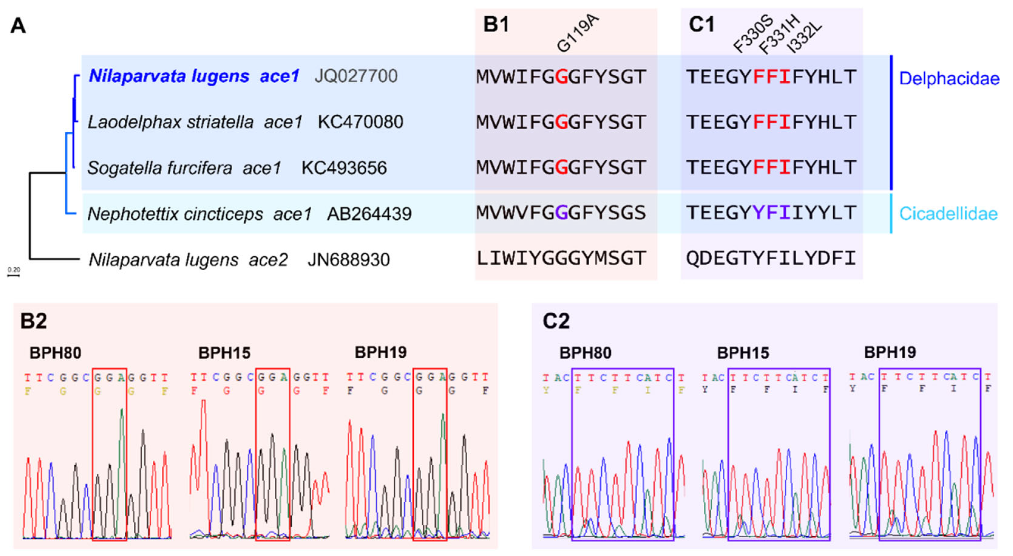 Preprints 115082 g001