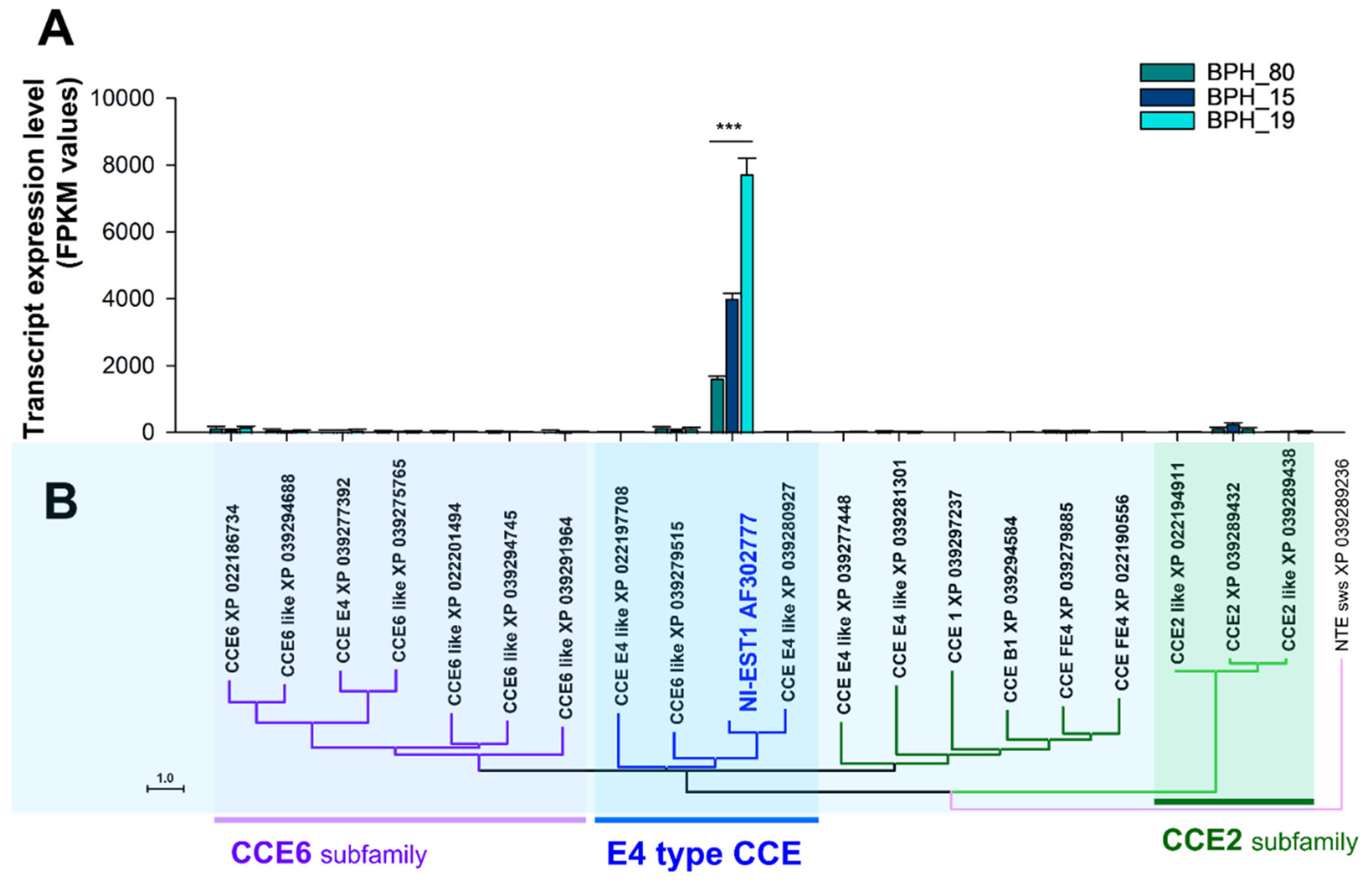 Preprints 115082 g005