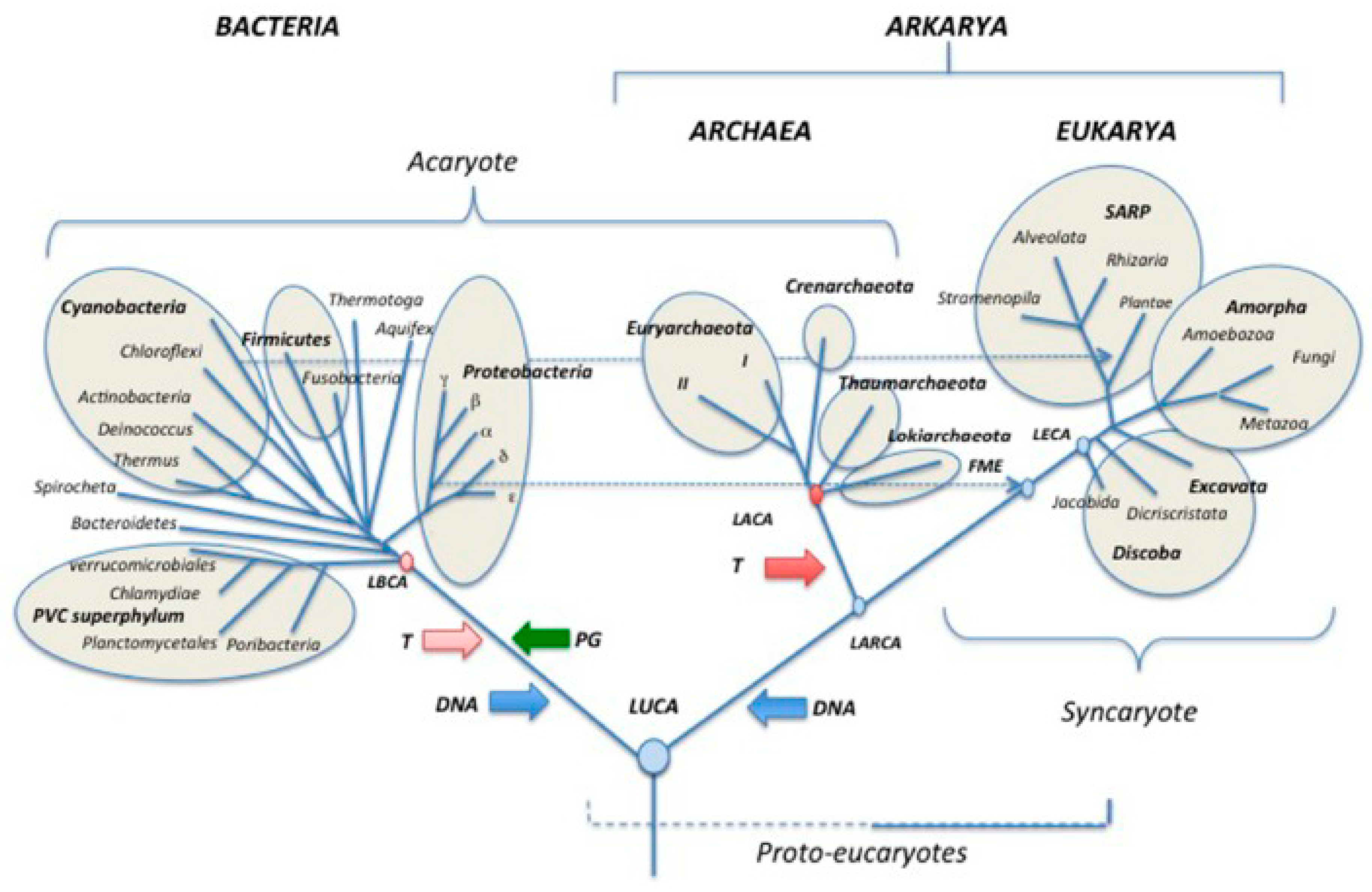 Preprints 83079 g001