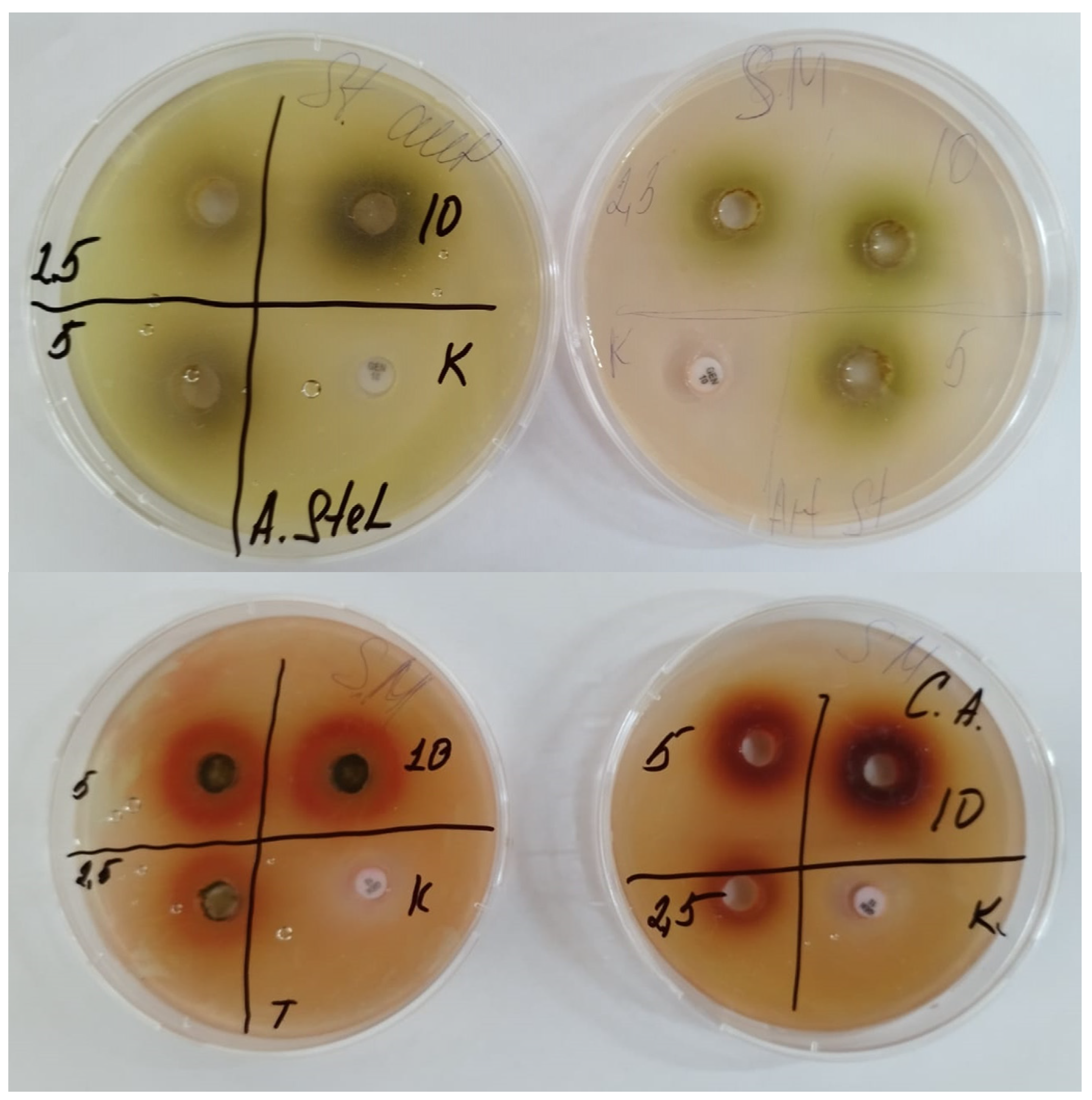 Preprints 87582 g003