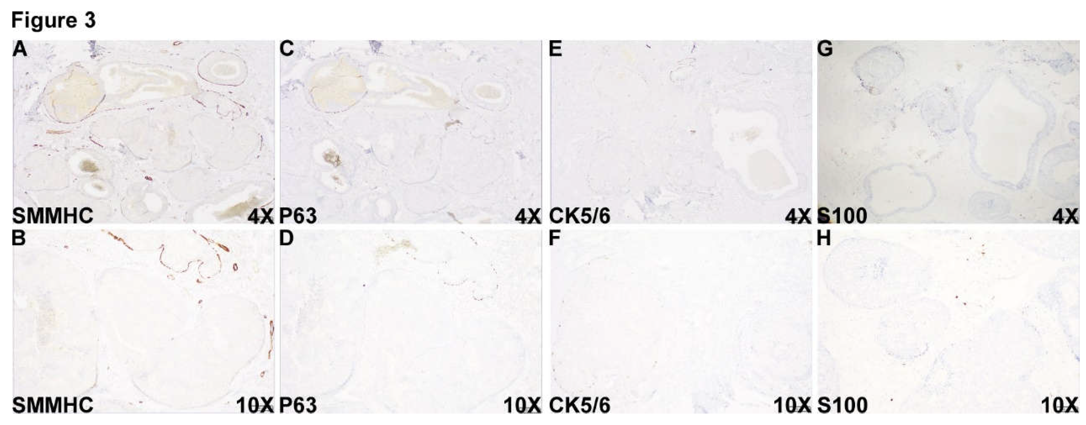 Preprints 106014 g003