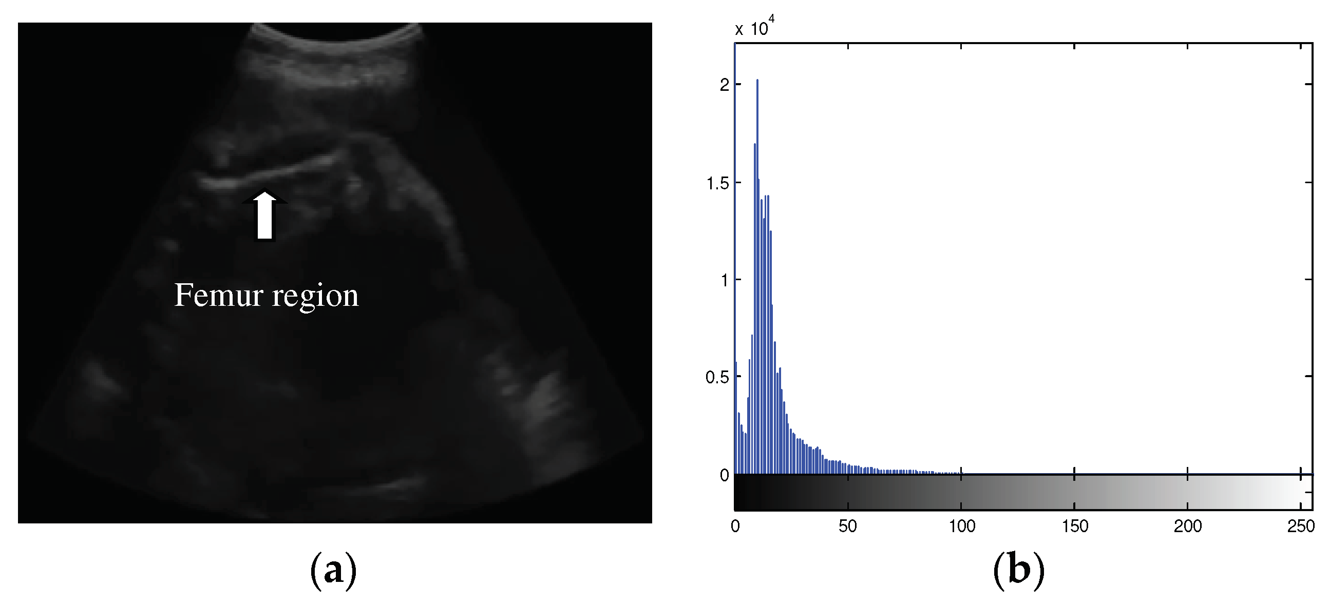 Preprints 93254 g001