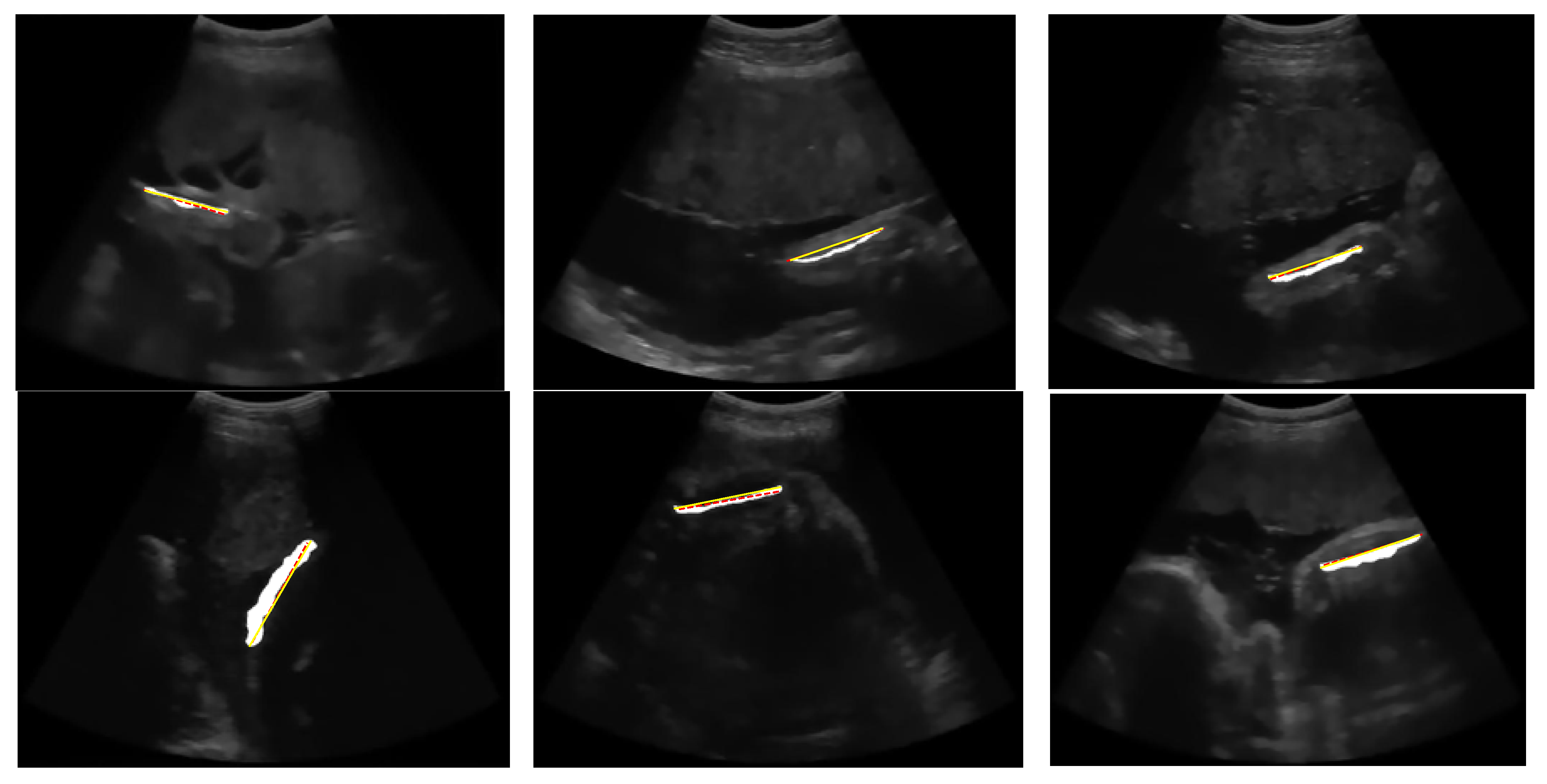 Preprints 93254 g021