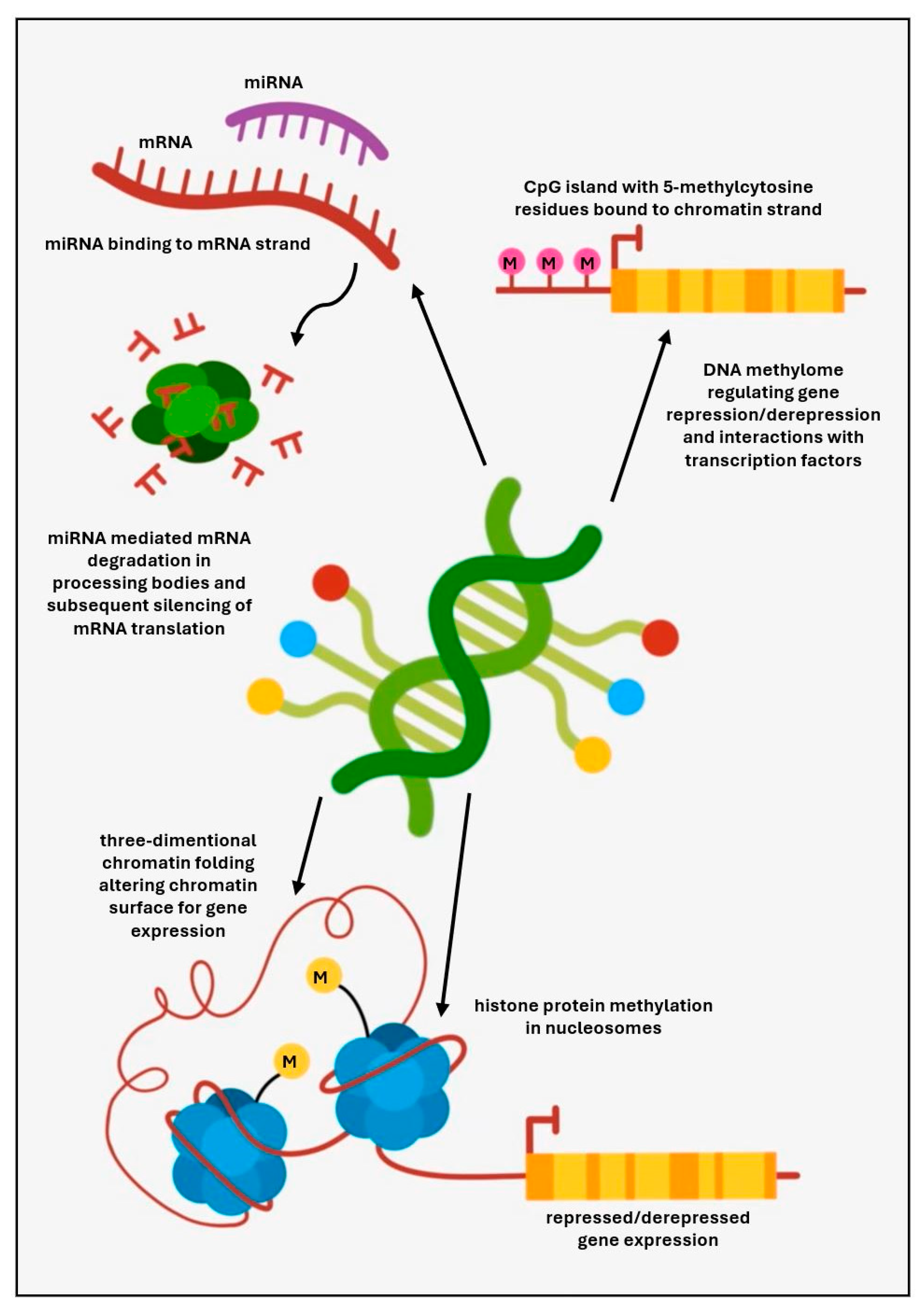 Preprints 114279 g001