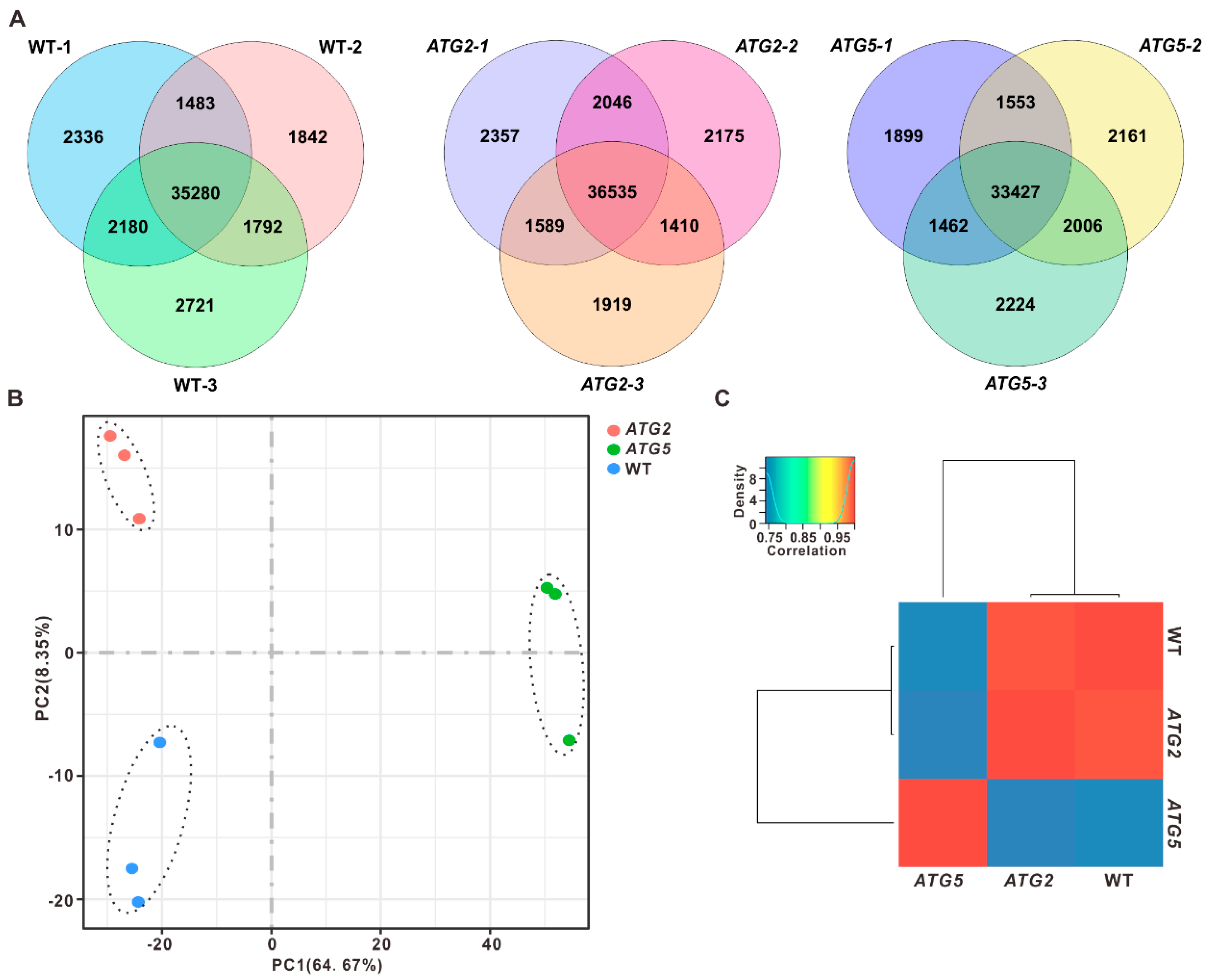 Preprints 83920 g001