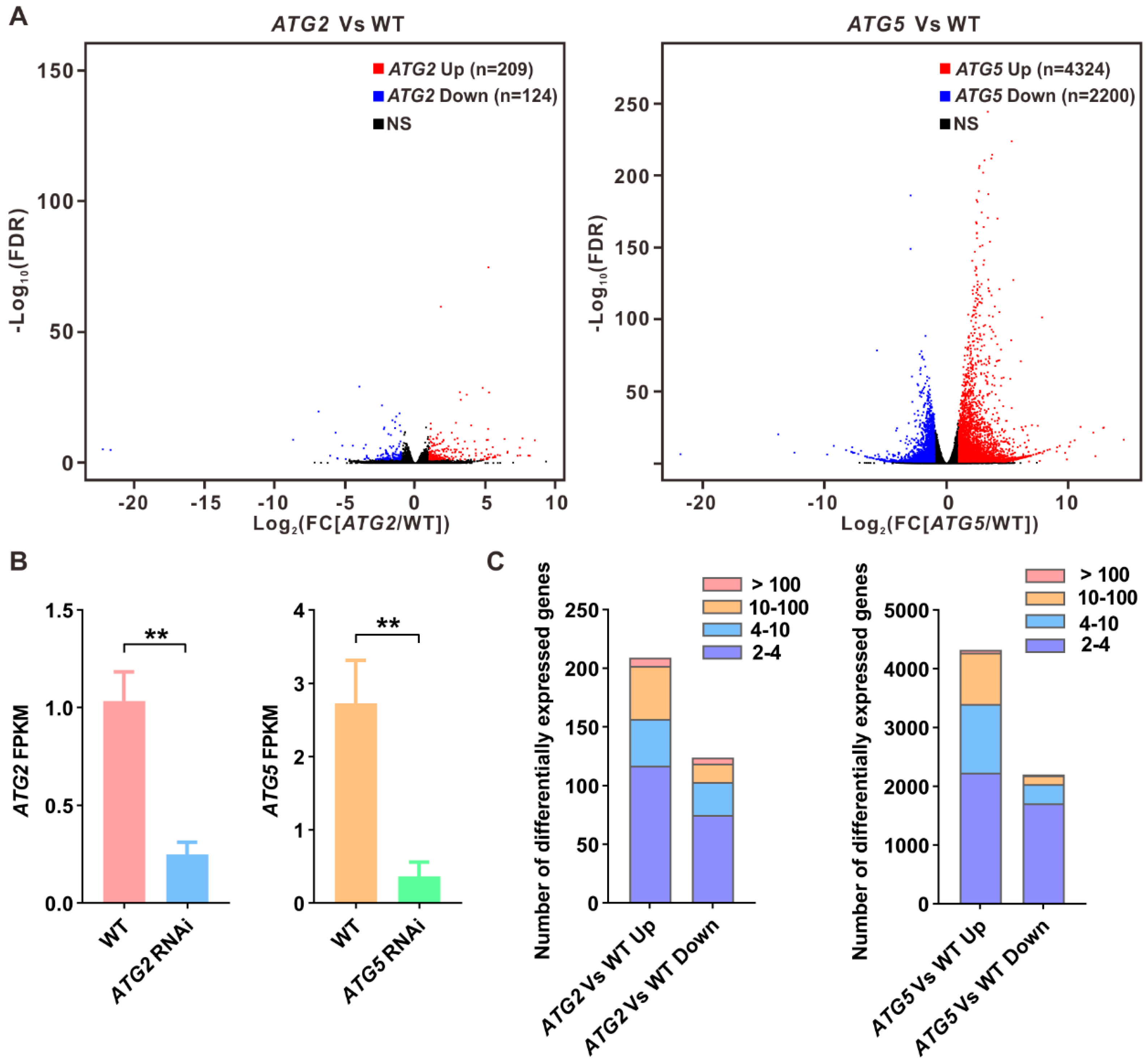 Preprints 83920 g002