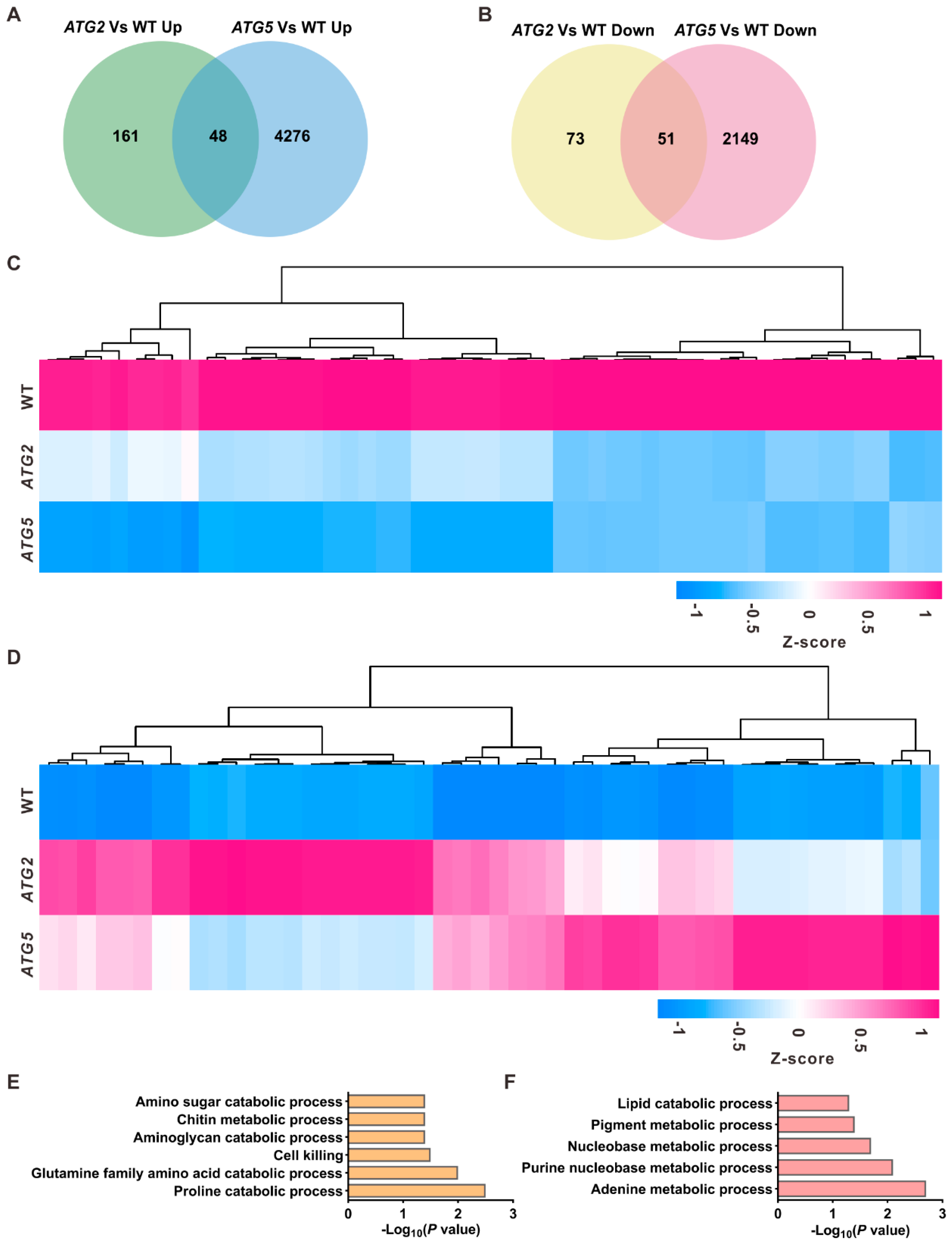 Preprints 83920 g003