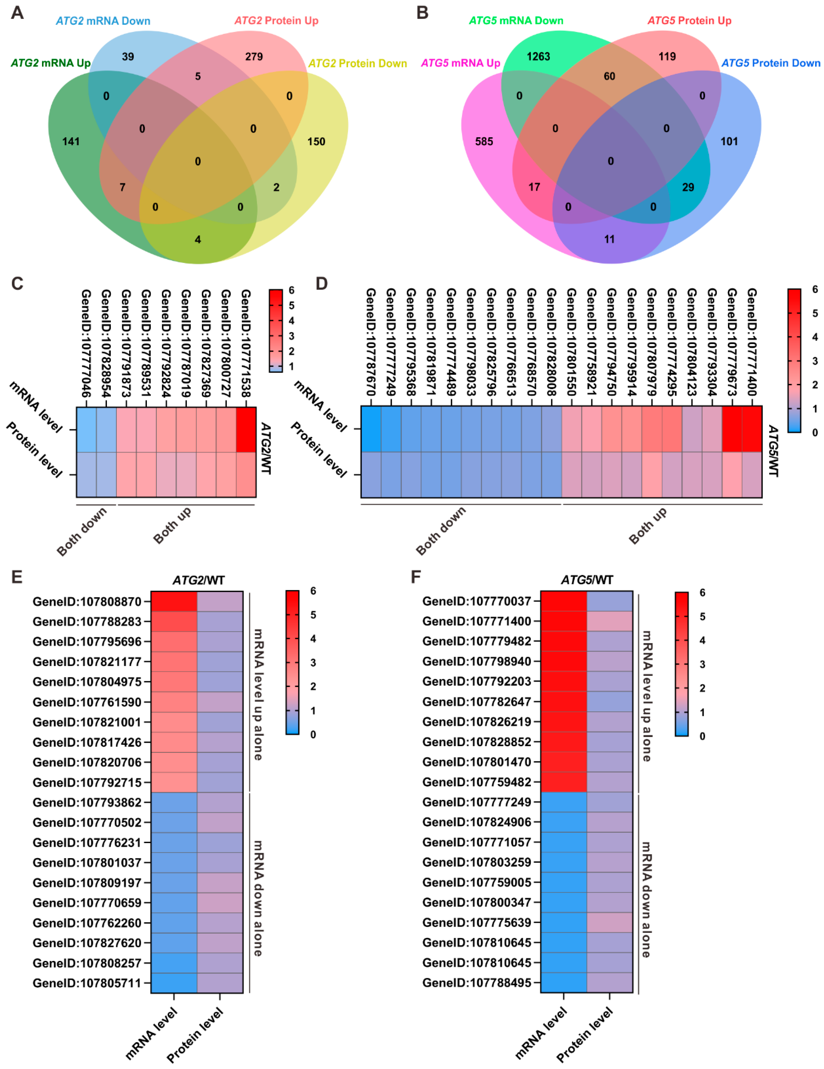 Preprints 83920 g004