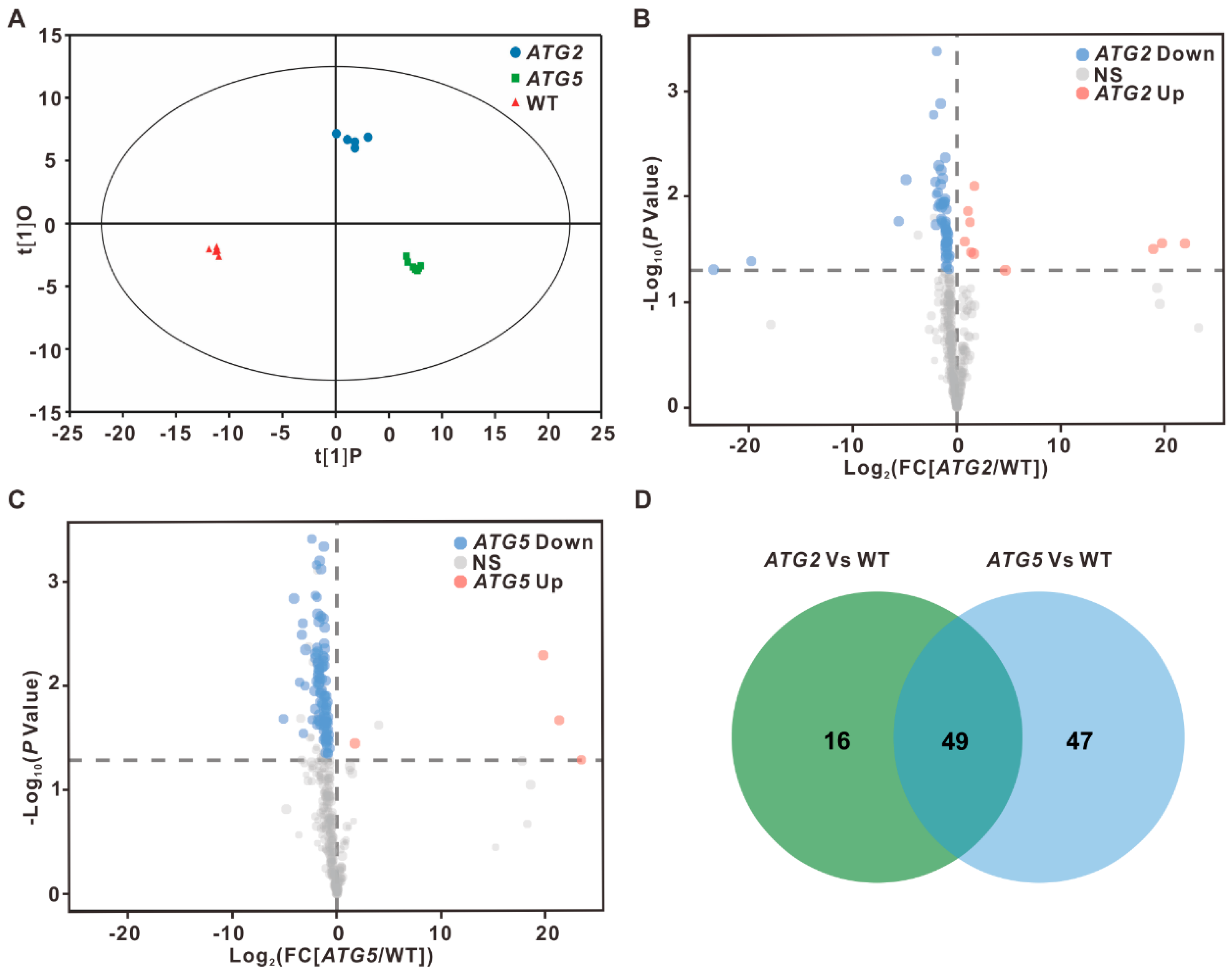 Preprints 83920 g005