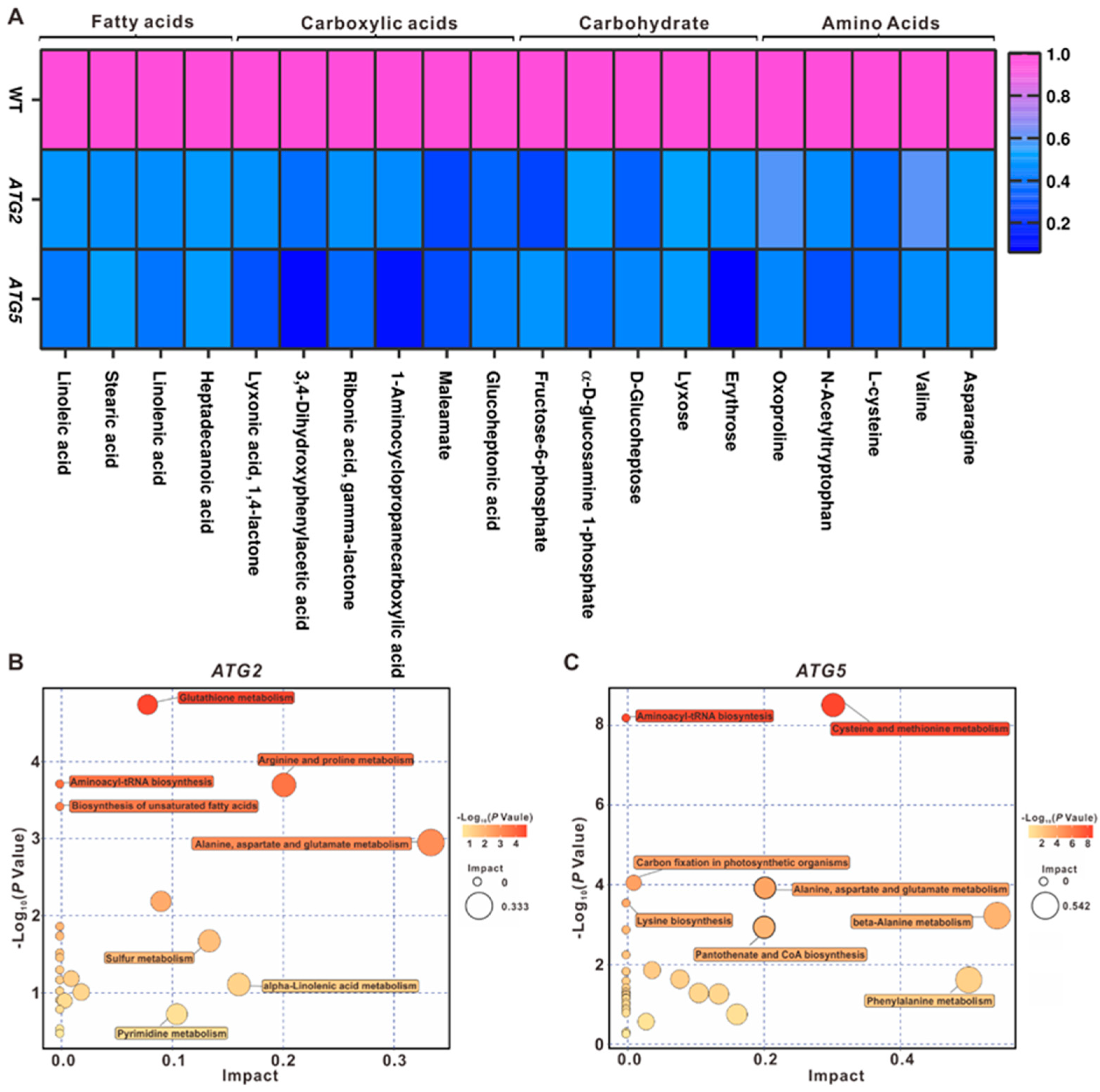 Preprints 83920 g006