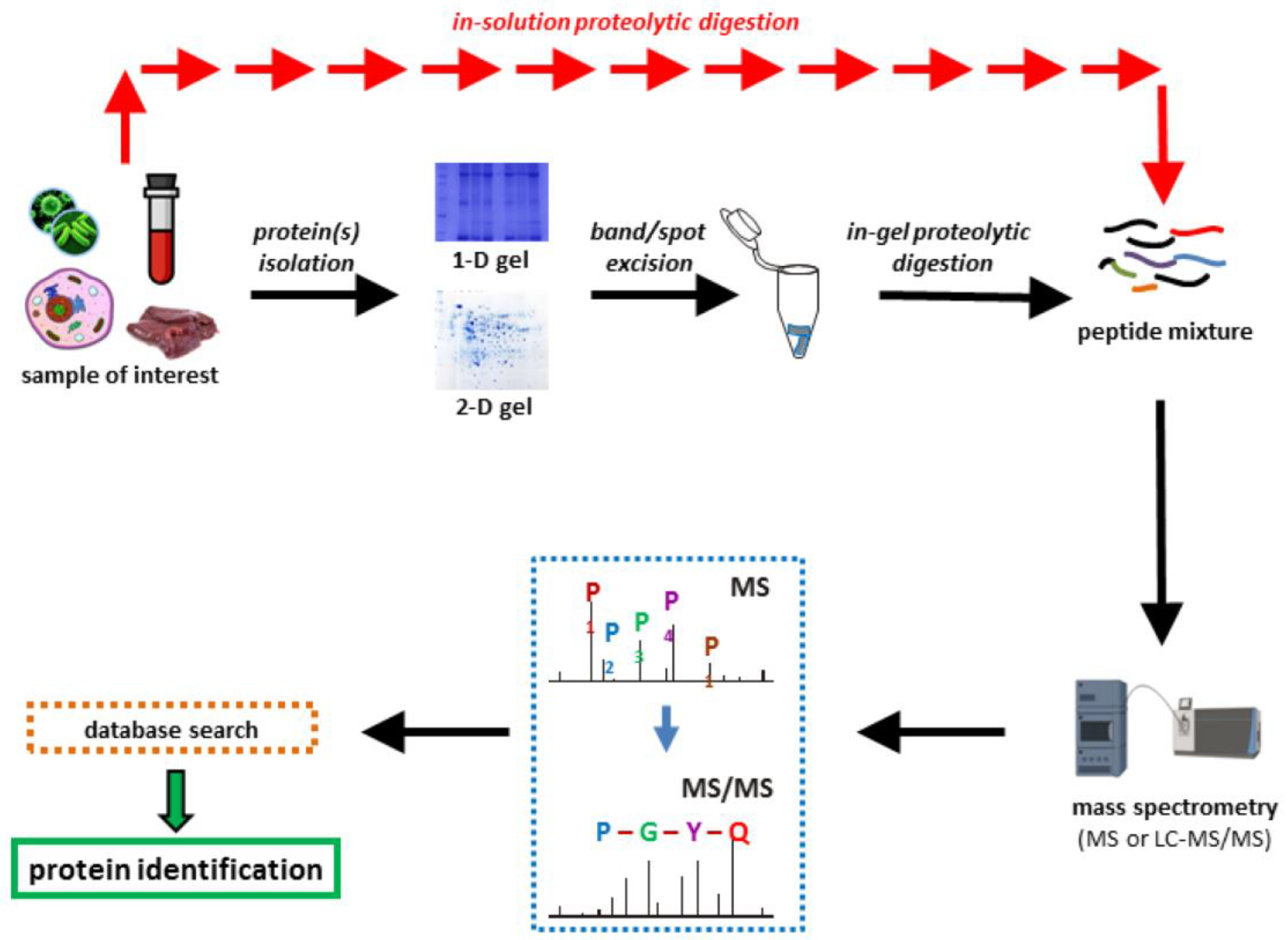 Preprints 74238 g004