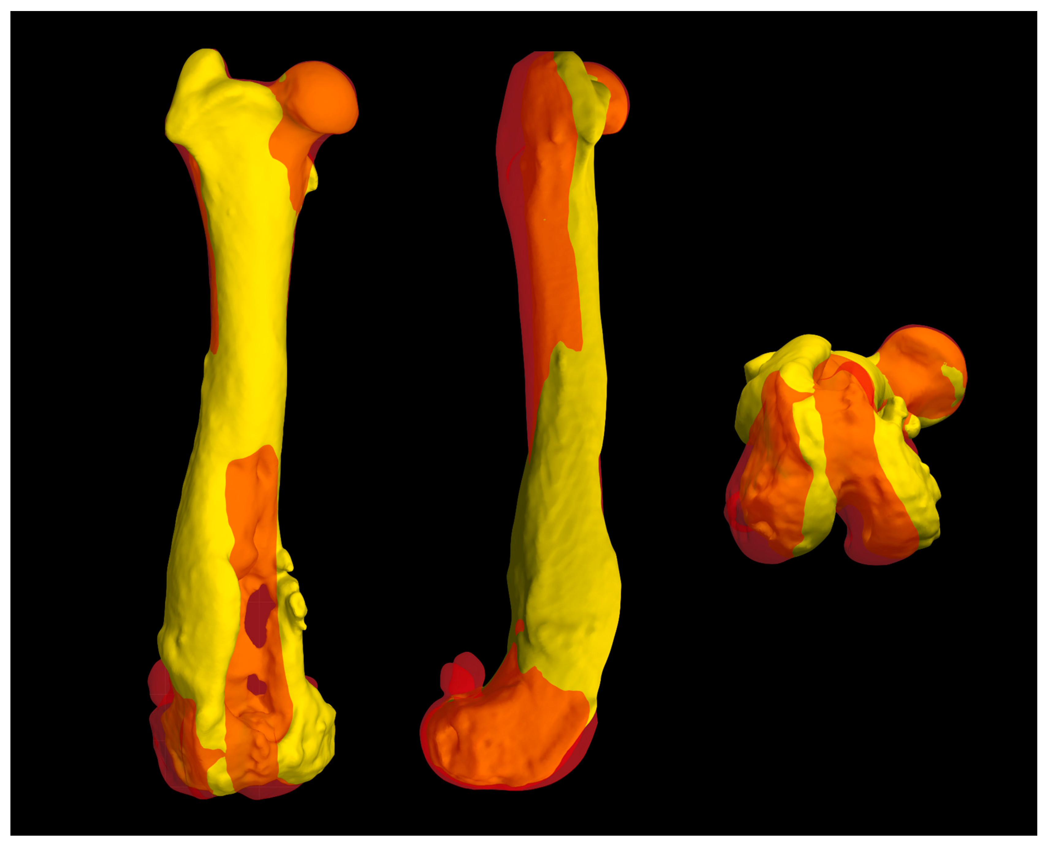 Preprints 99416 g005