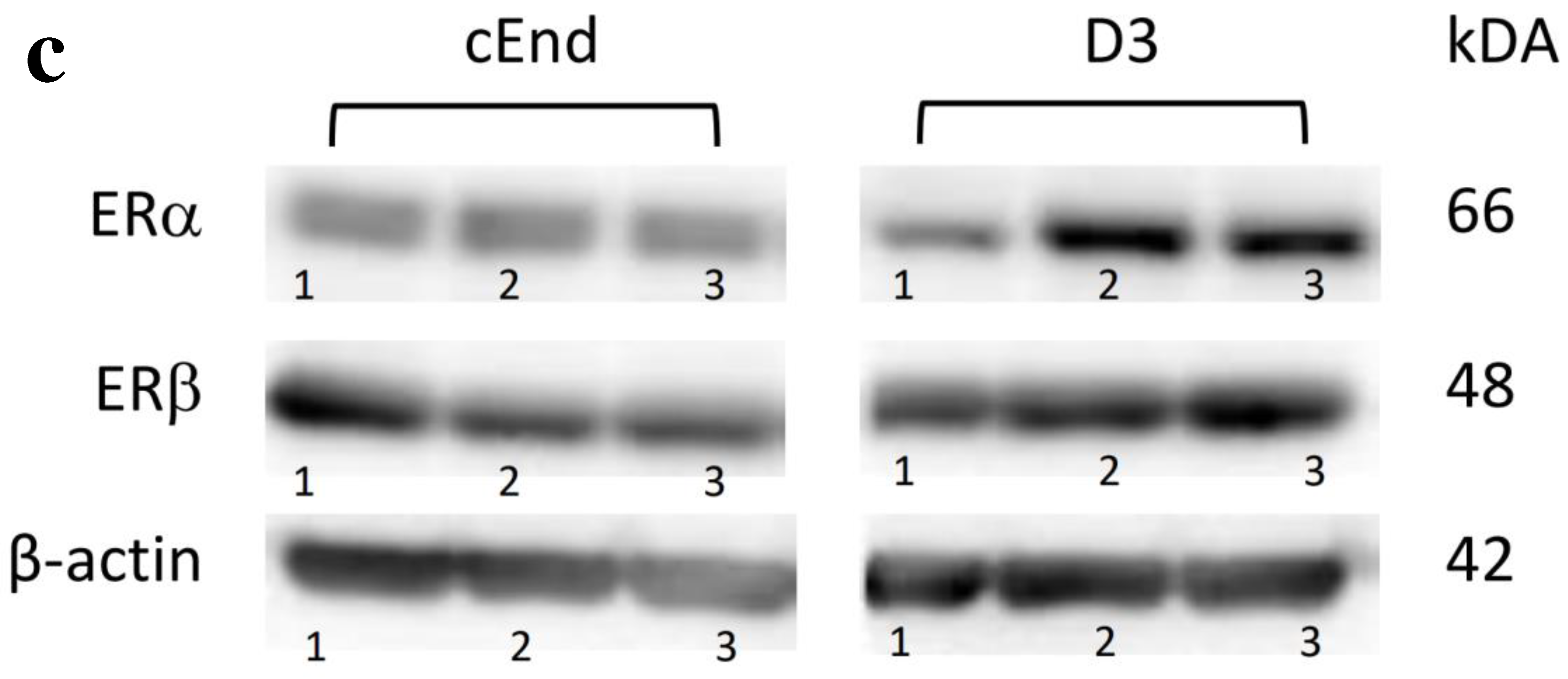 Preprints 97309 g001b