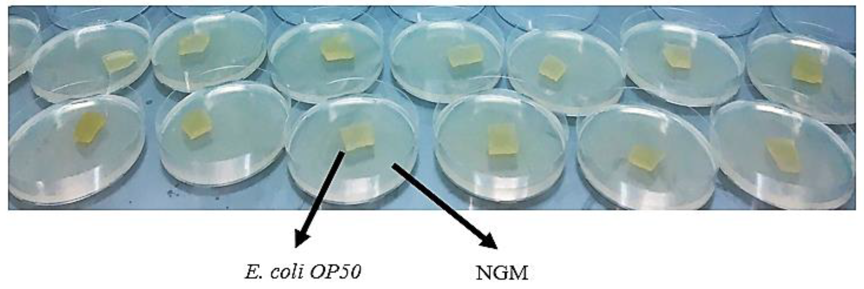 Preprints 121906 g001