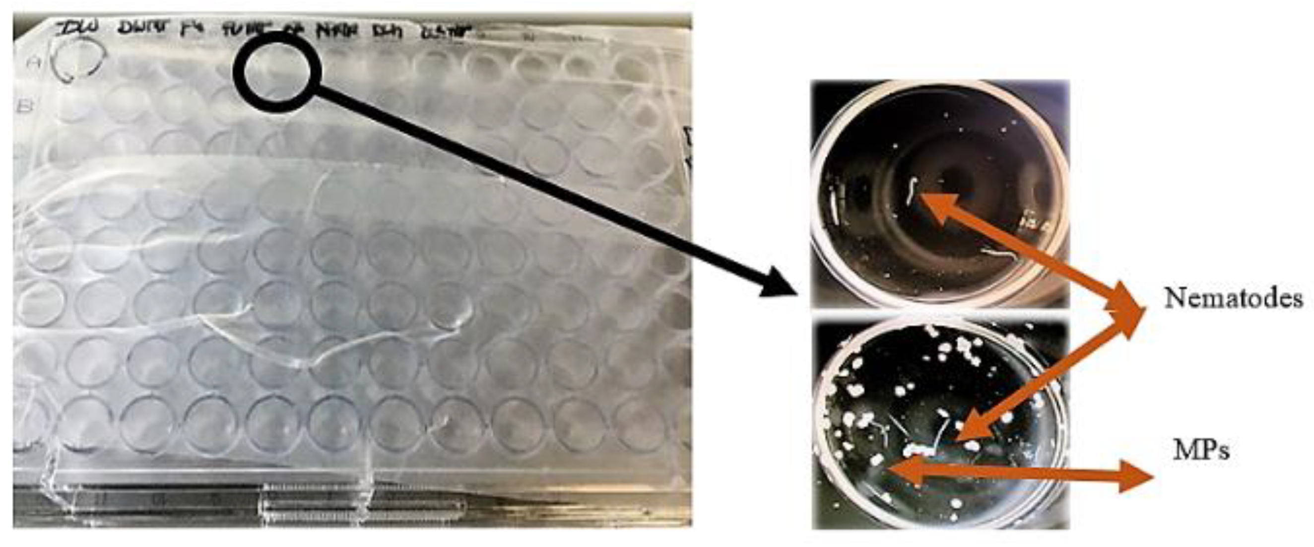 Preprints 121906 g004