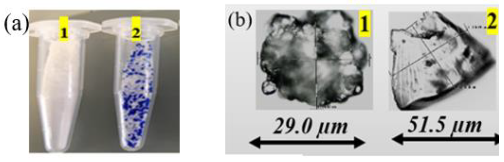 Preprints 121906 g005