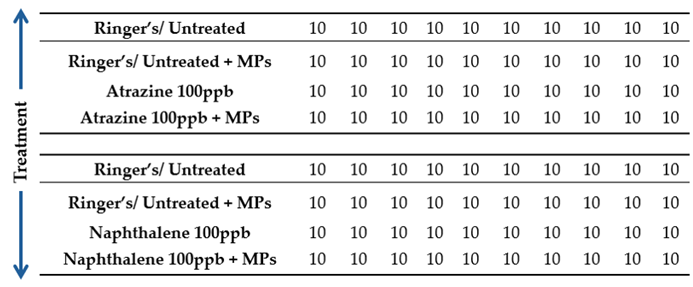 Preprints 121906 i001