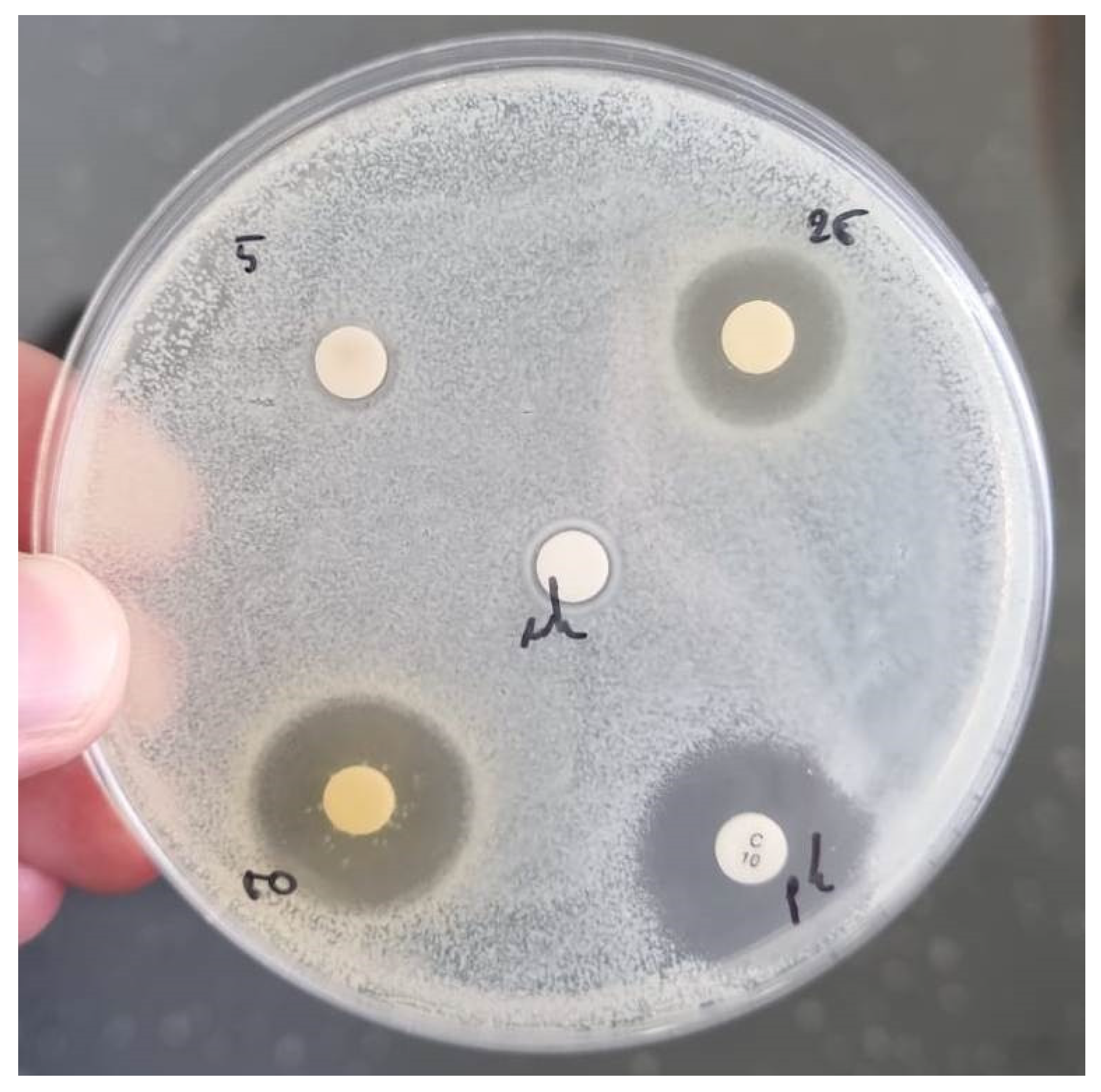 Preprints 81149 g0a1