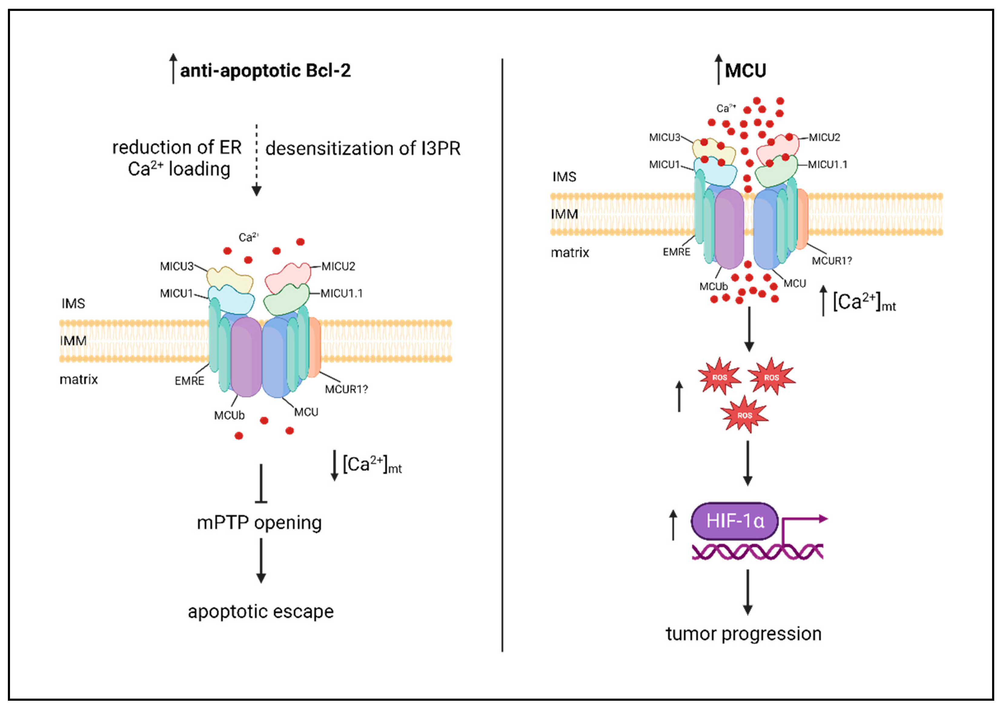 Preprints 80829 g002