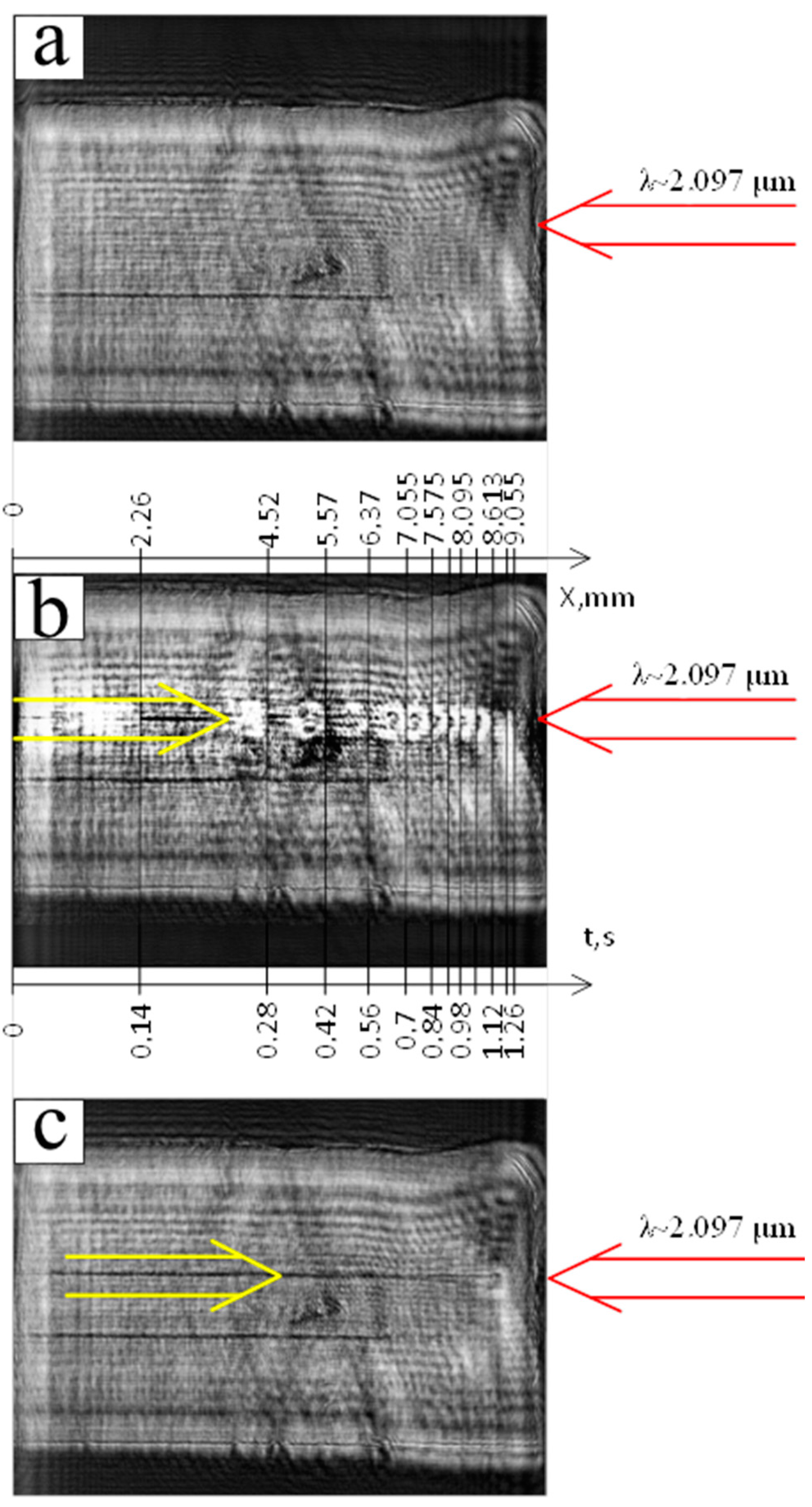 Preprints 91194 g010