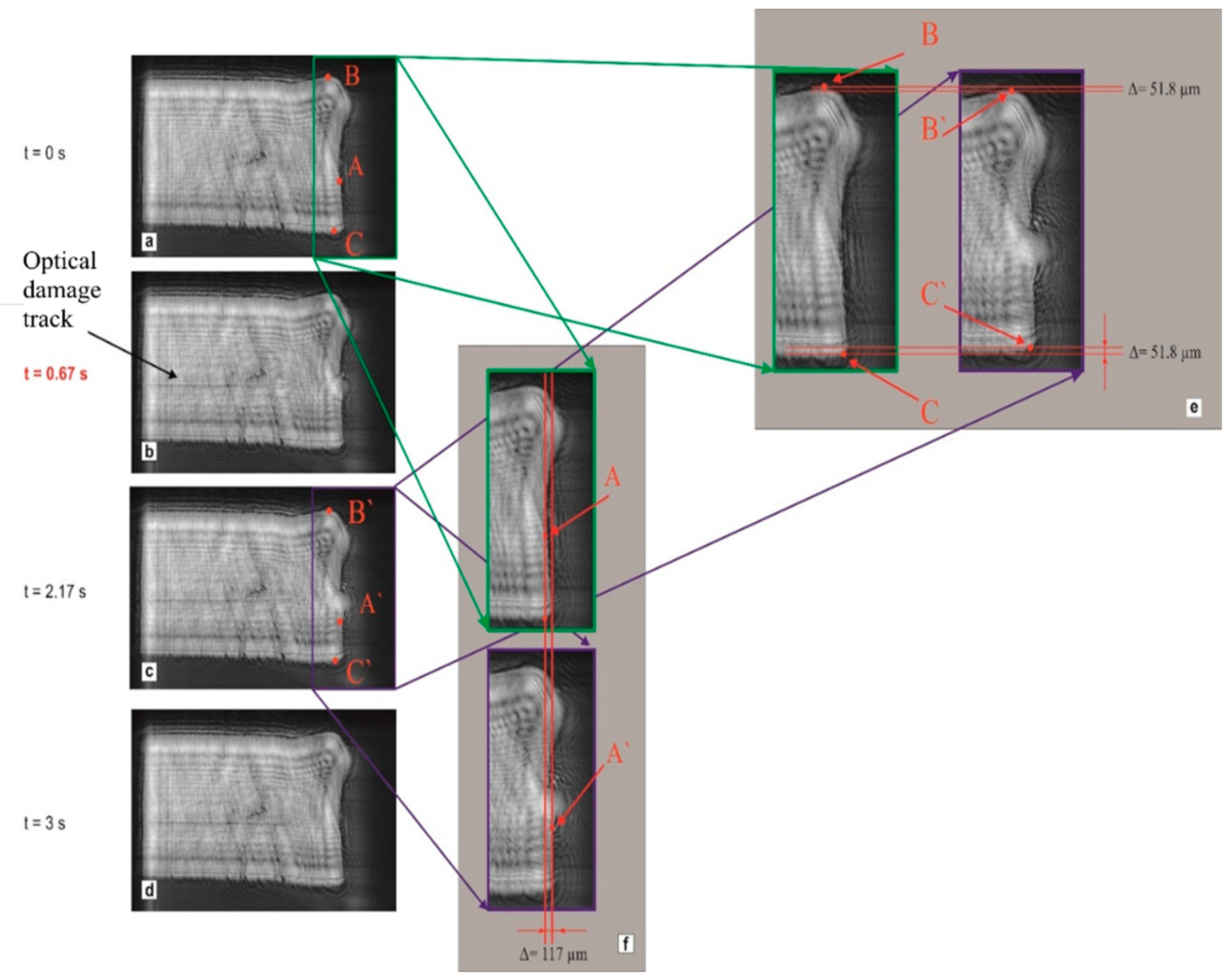 Preprints 91194 g013