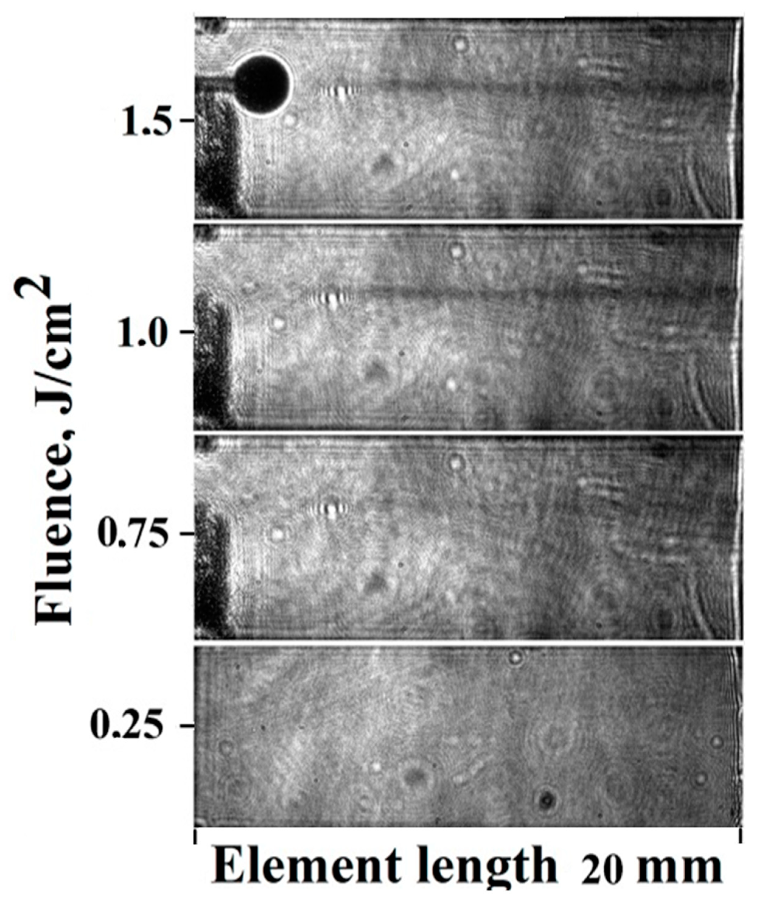 Preprints 91194 g020