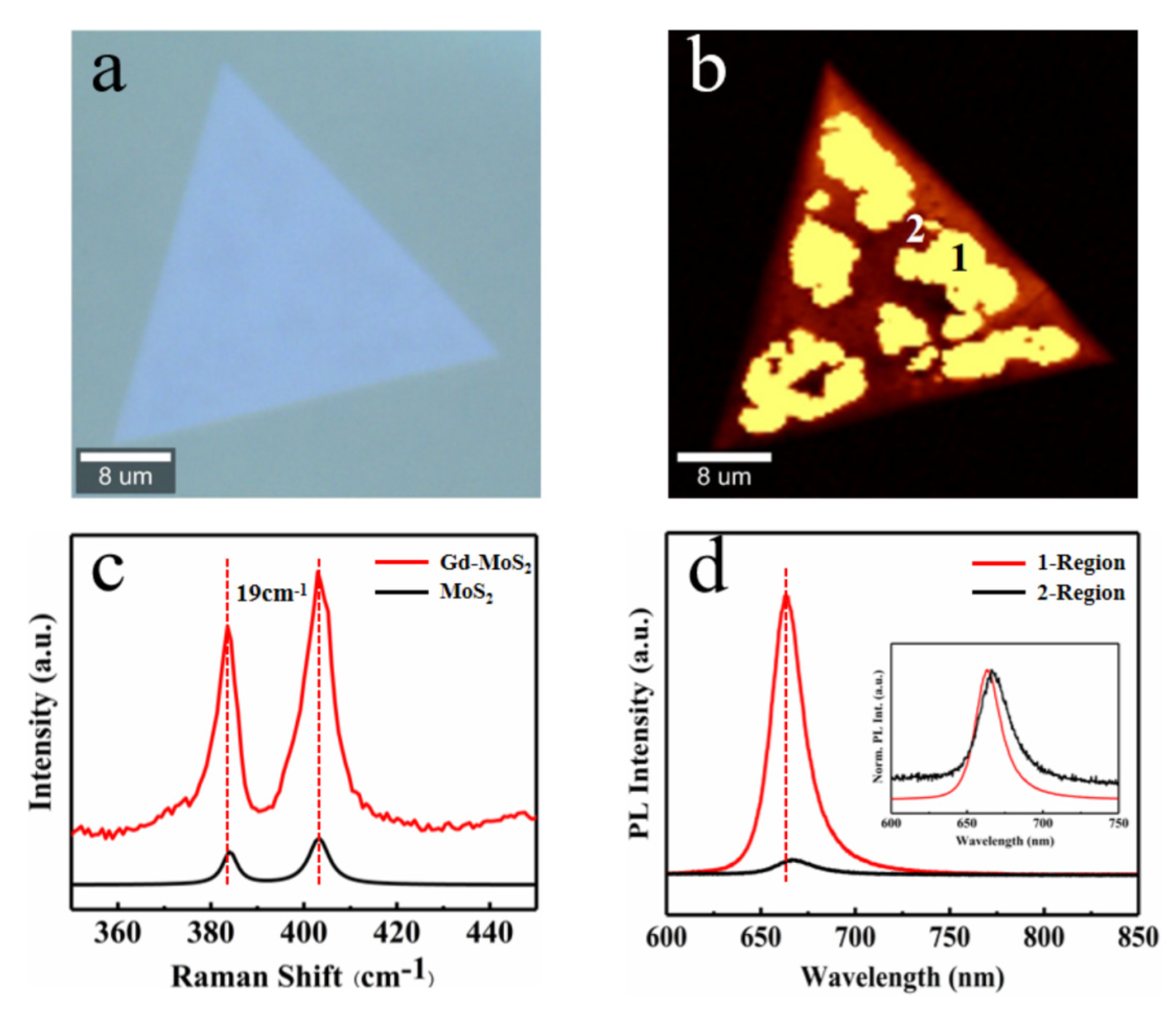 Preprints 81450 g004