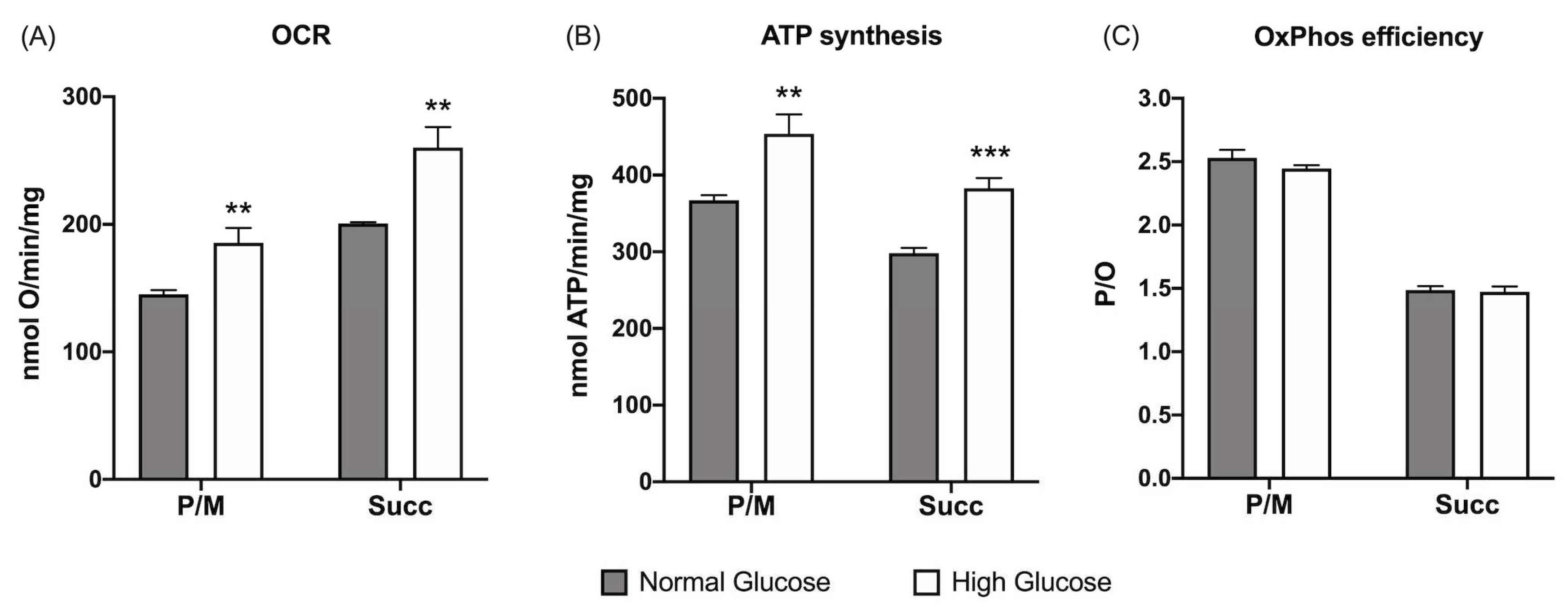 Preprints 77937 g001