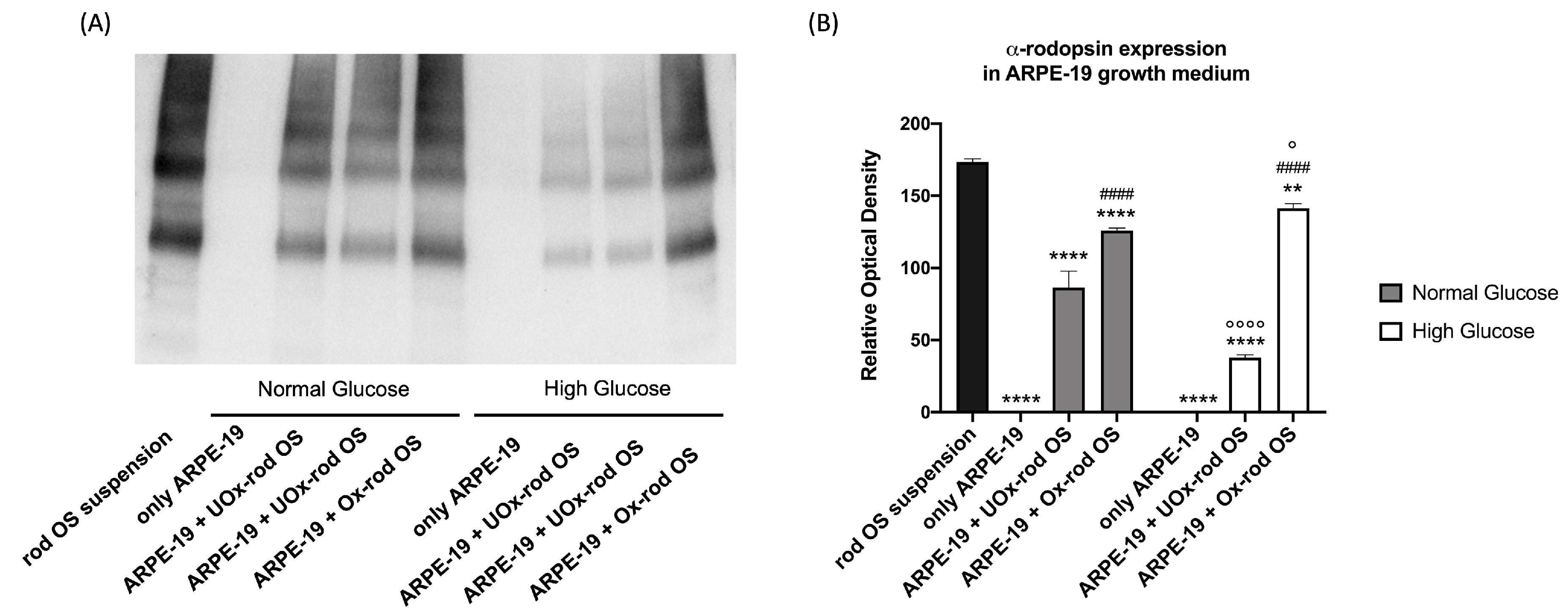 Preprints 77937 g003