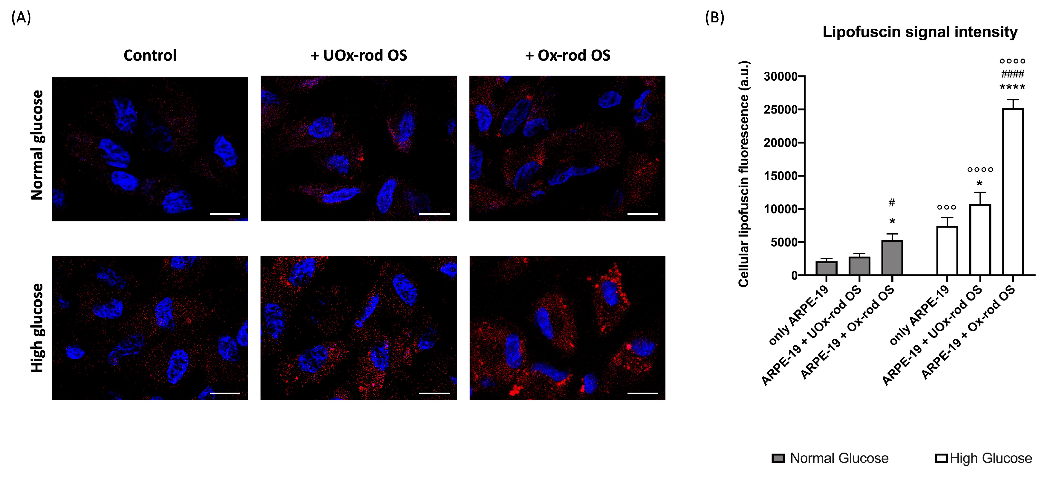 Preprints 77937 g004