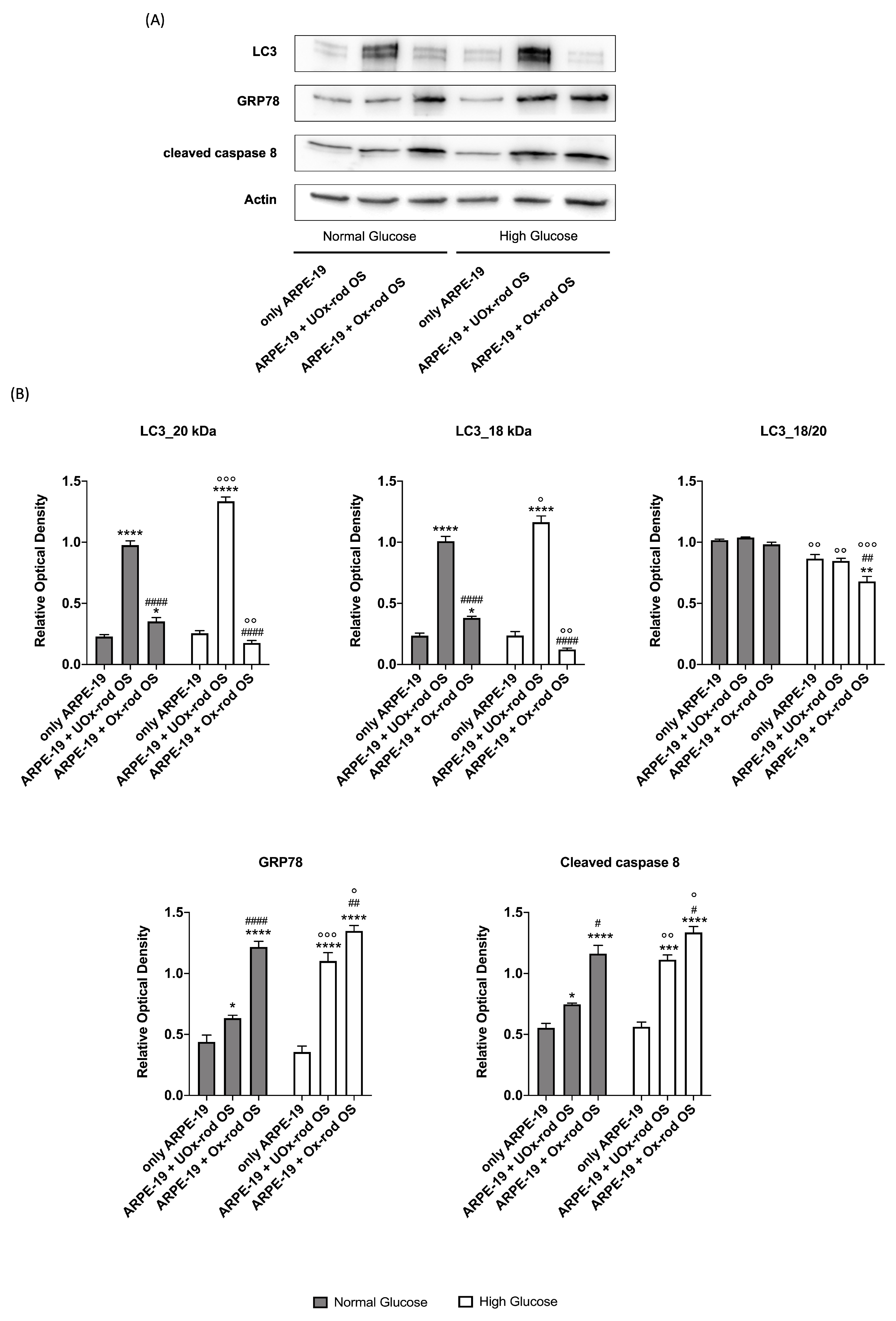 Preprints 77937 g006