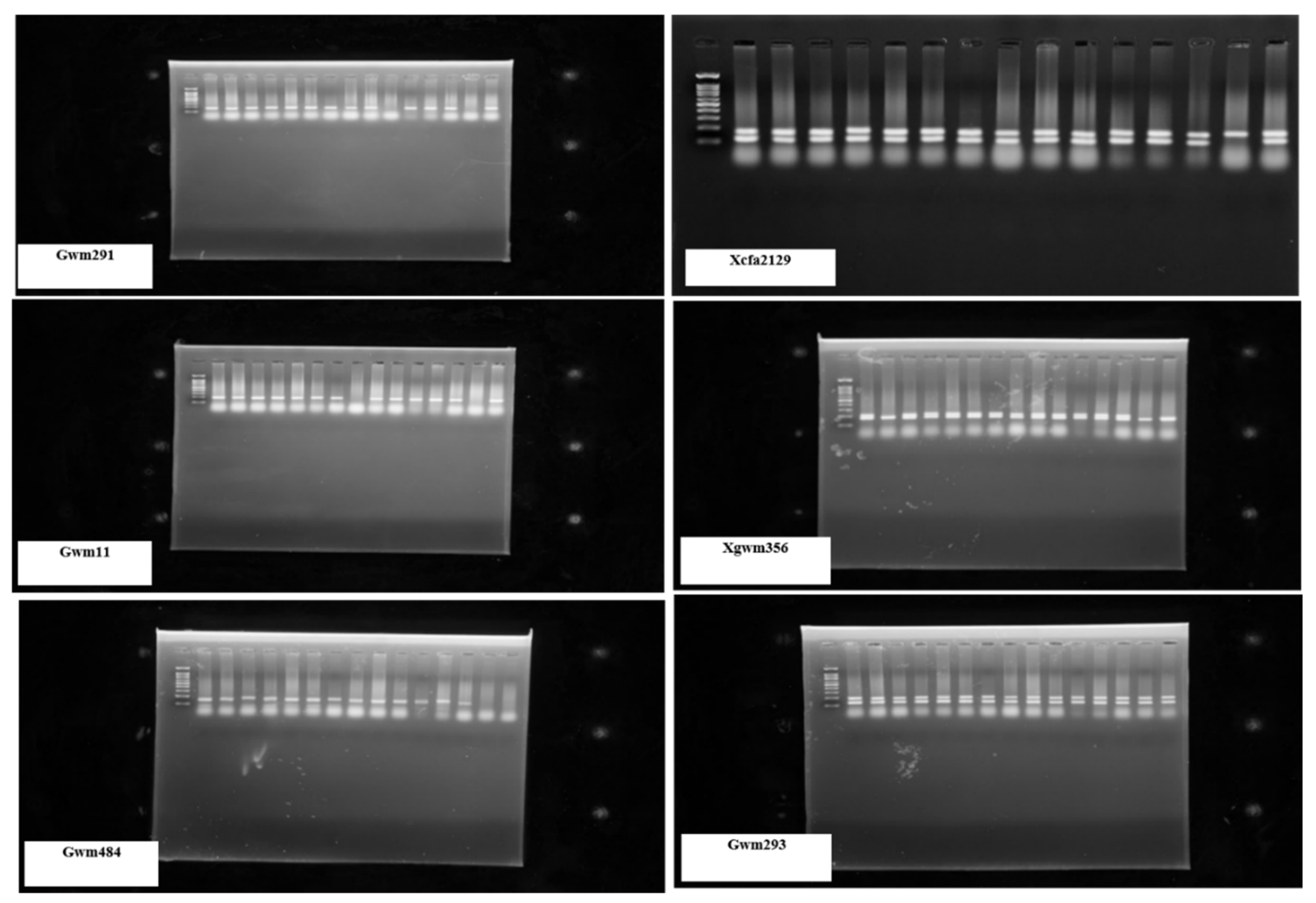 Preprints 117546 g003