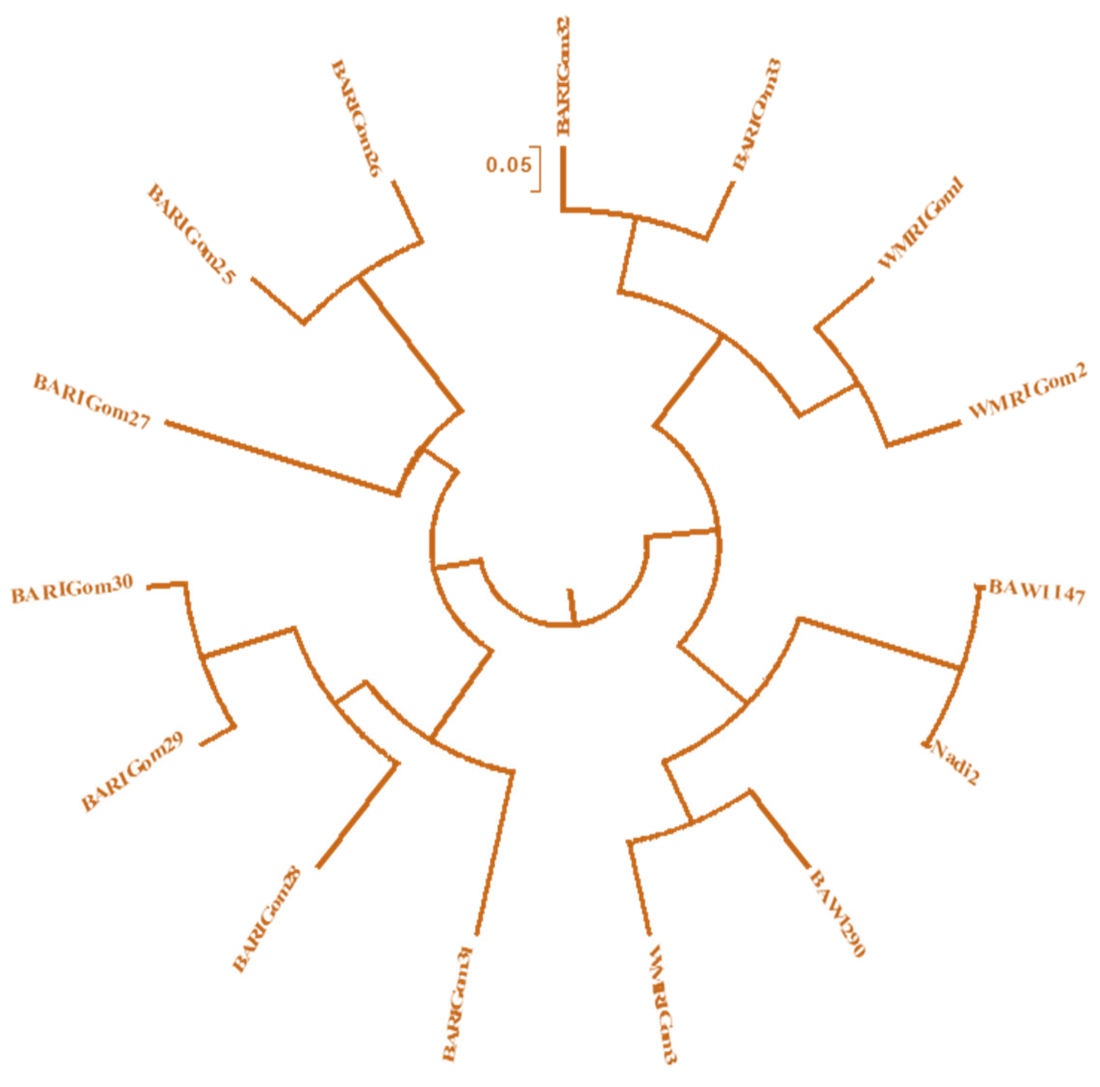 Preprints 117546 g004