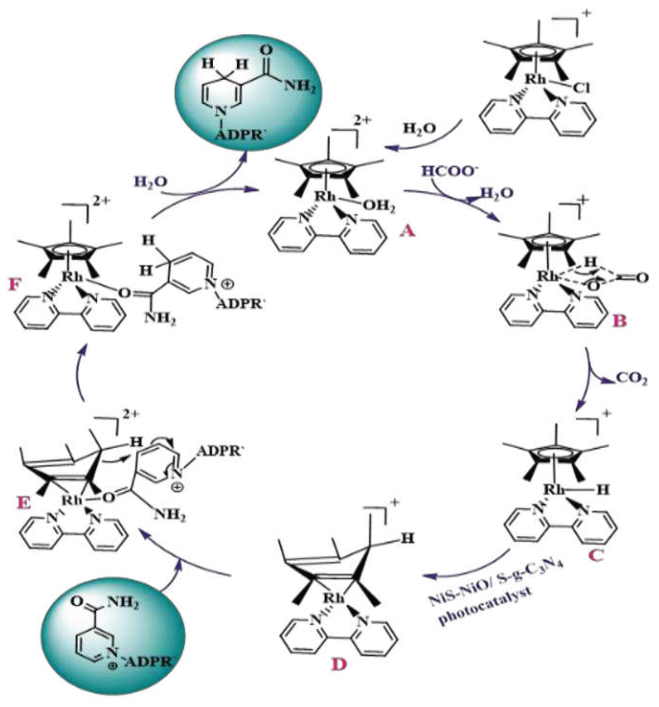 Preprints 79313 sch004