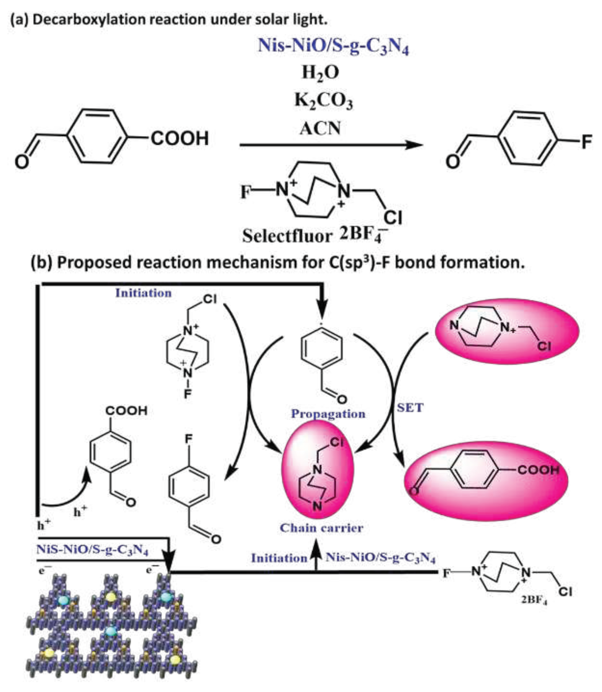 Preprints 79313 sch005