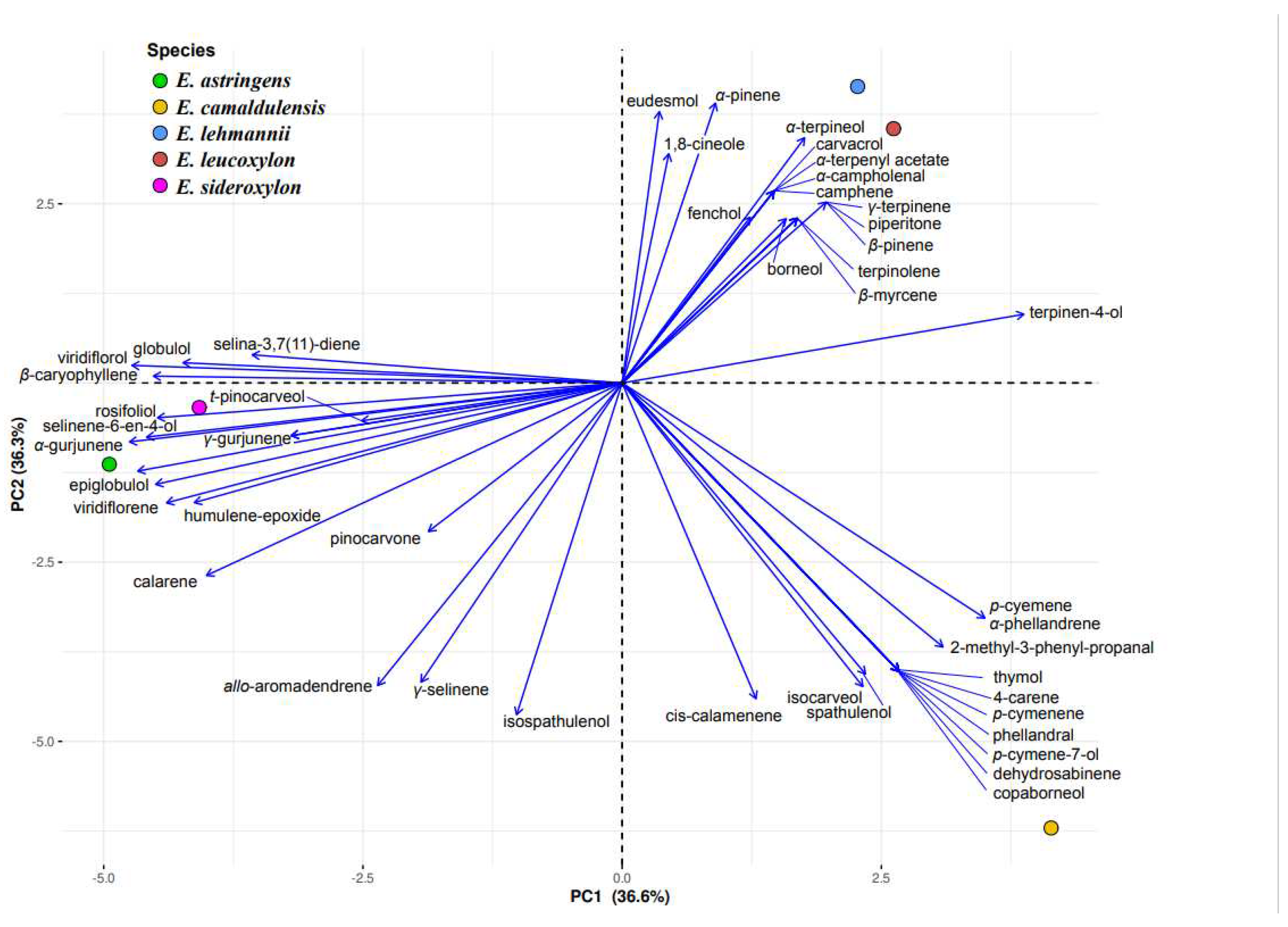 Preprints 90798 g001