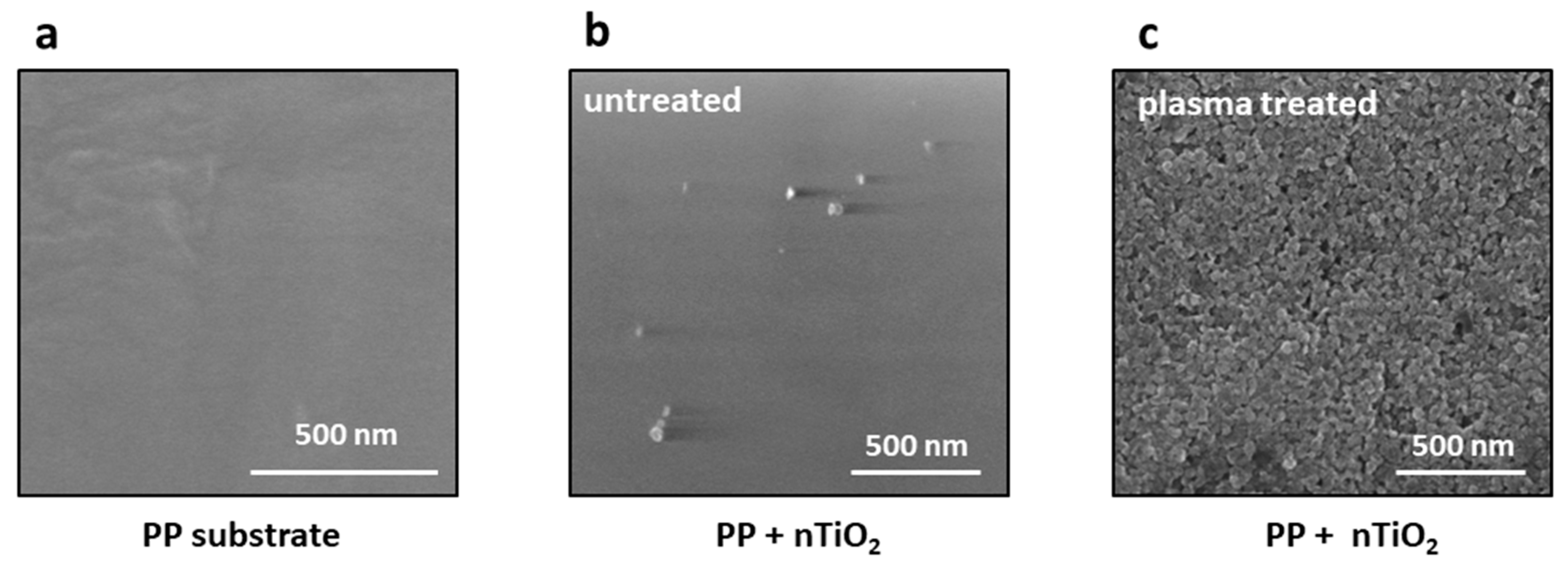 Preprints 111012 g006