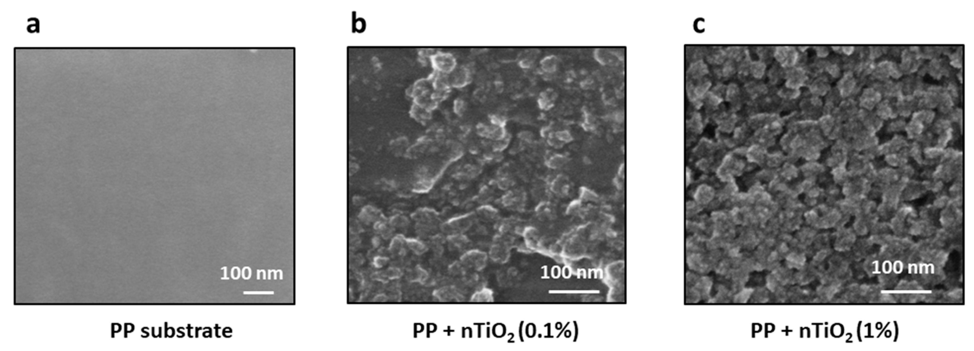 Preprints 111012 g007