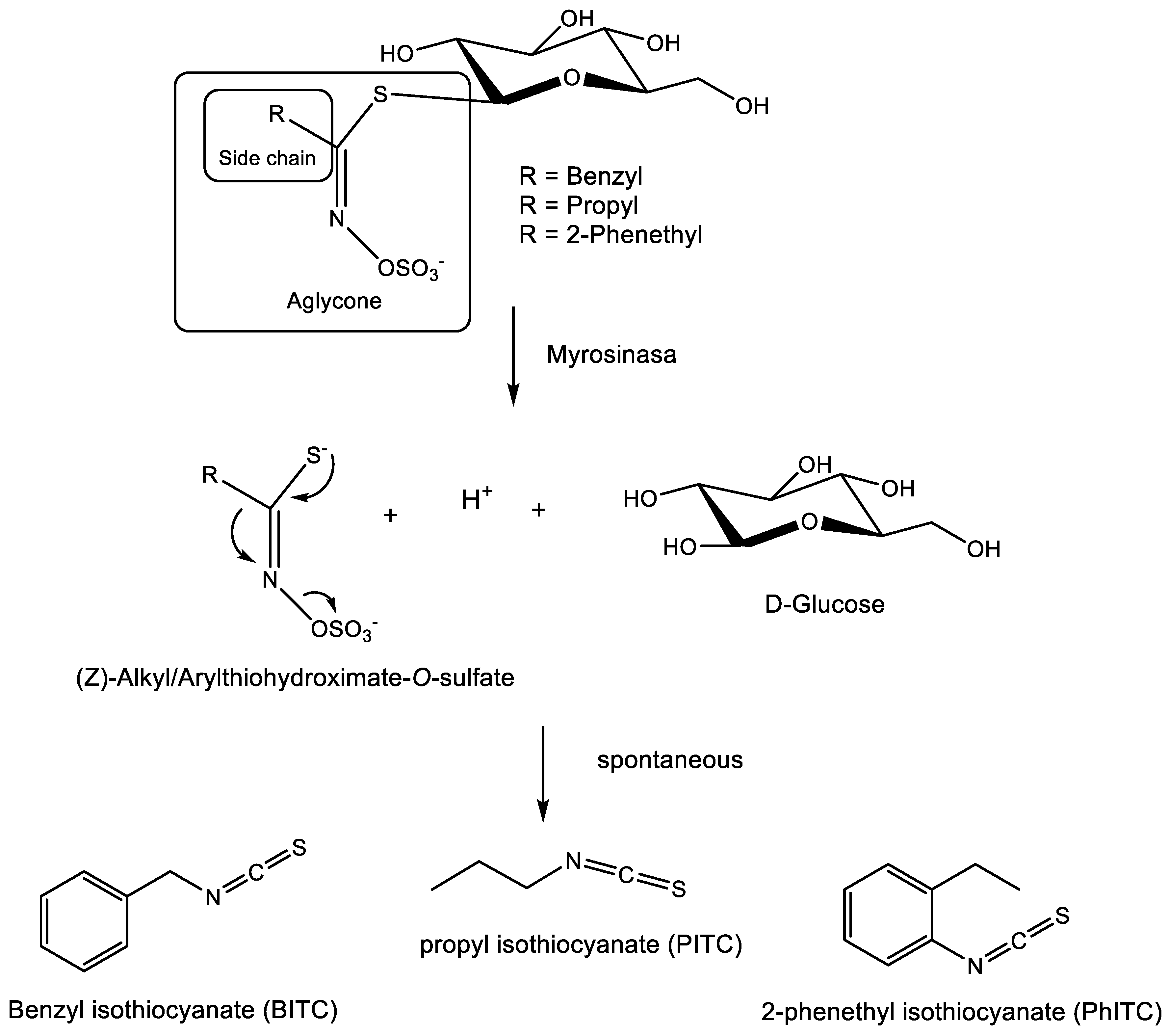 Preprints 97559 g001