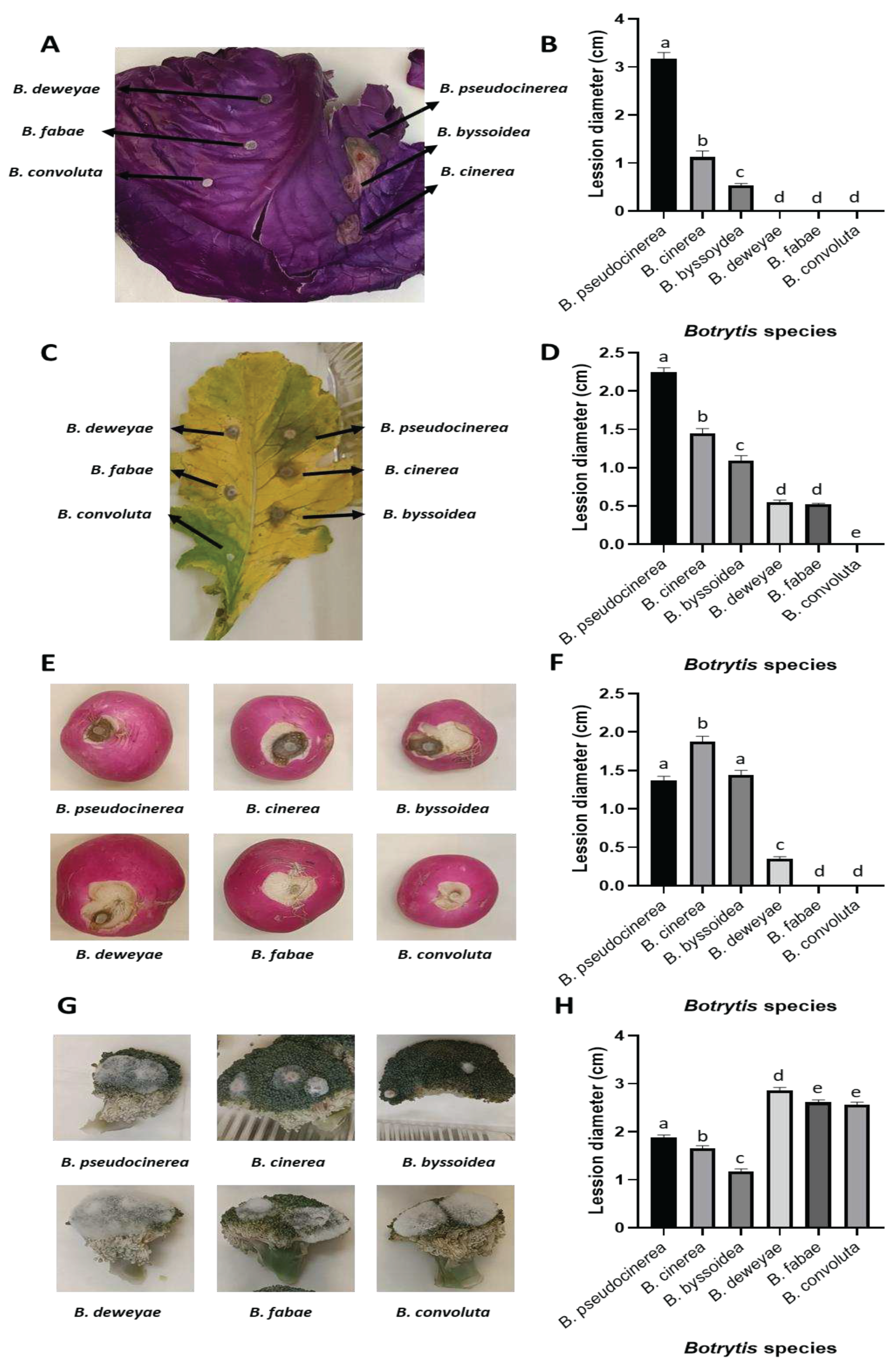 Preprints 97559 g003