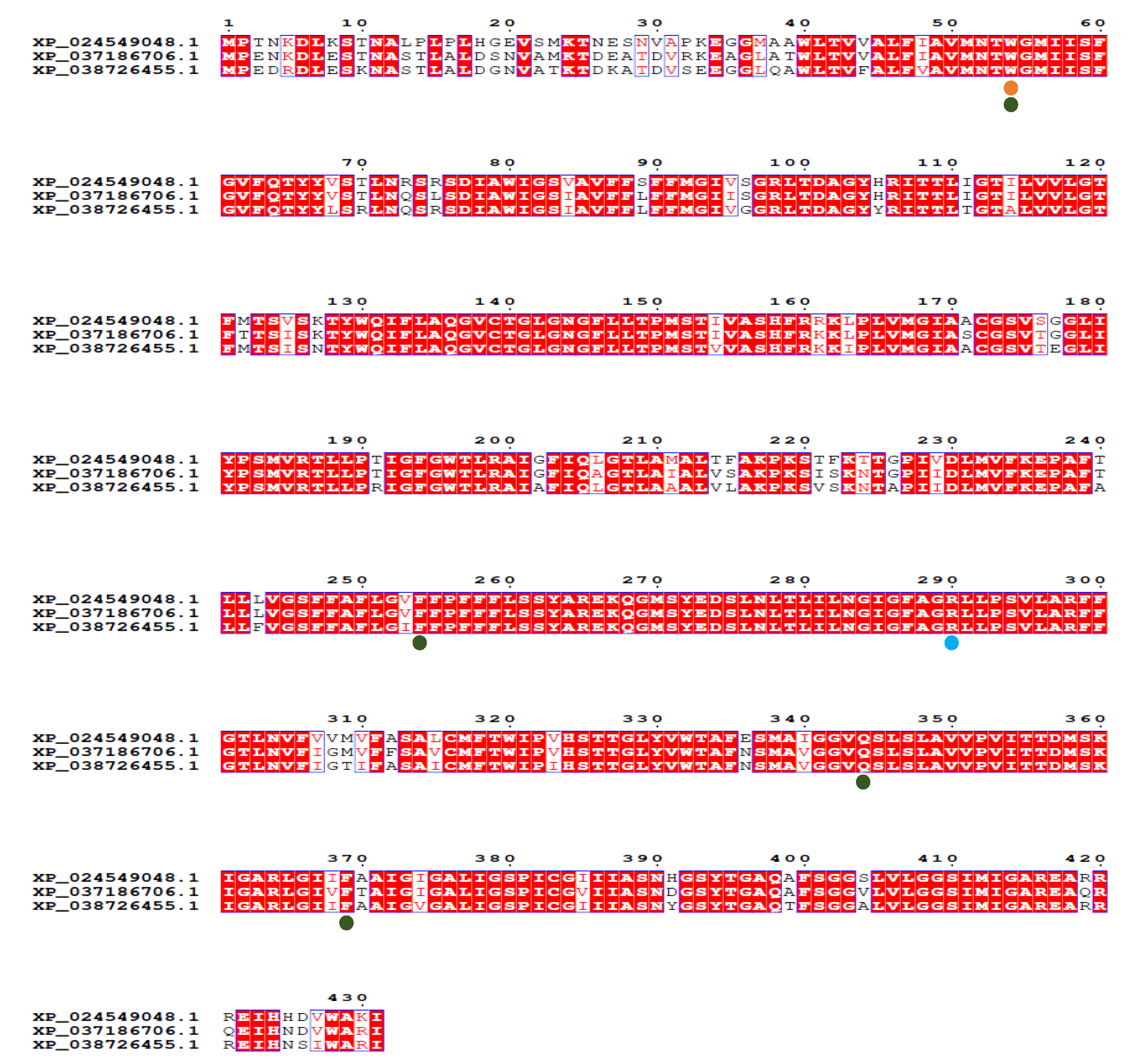 Preprints 97559 g005