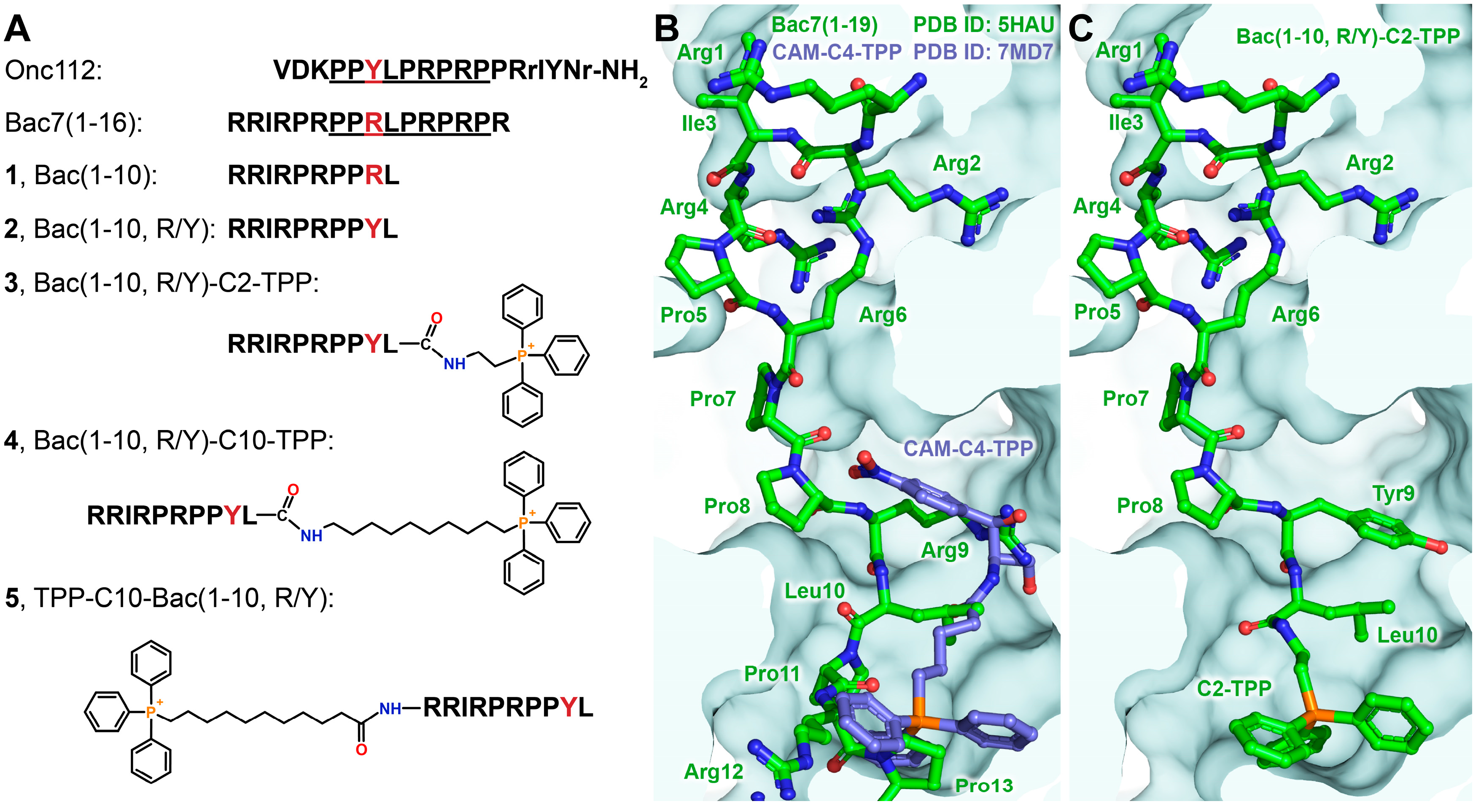 Preprints 92763 g001