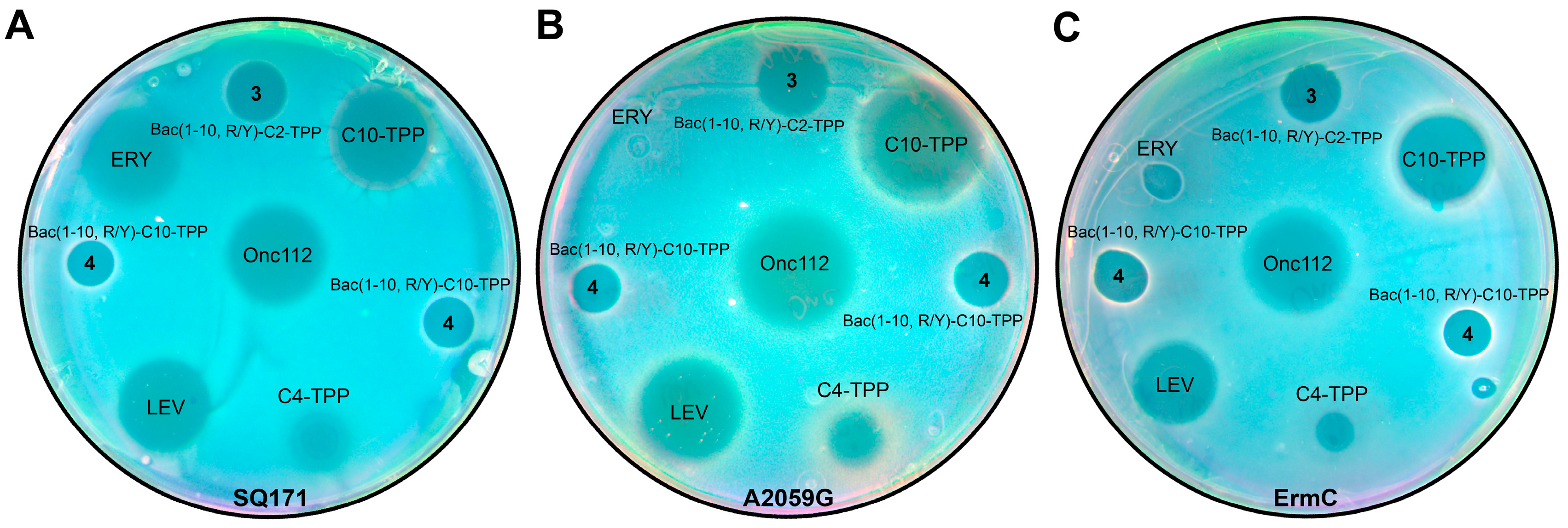 Preprints 92763 g003