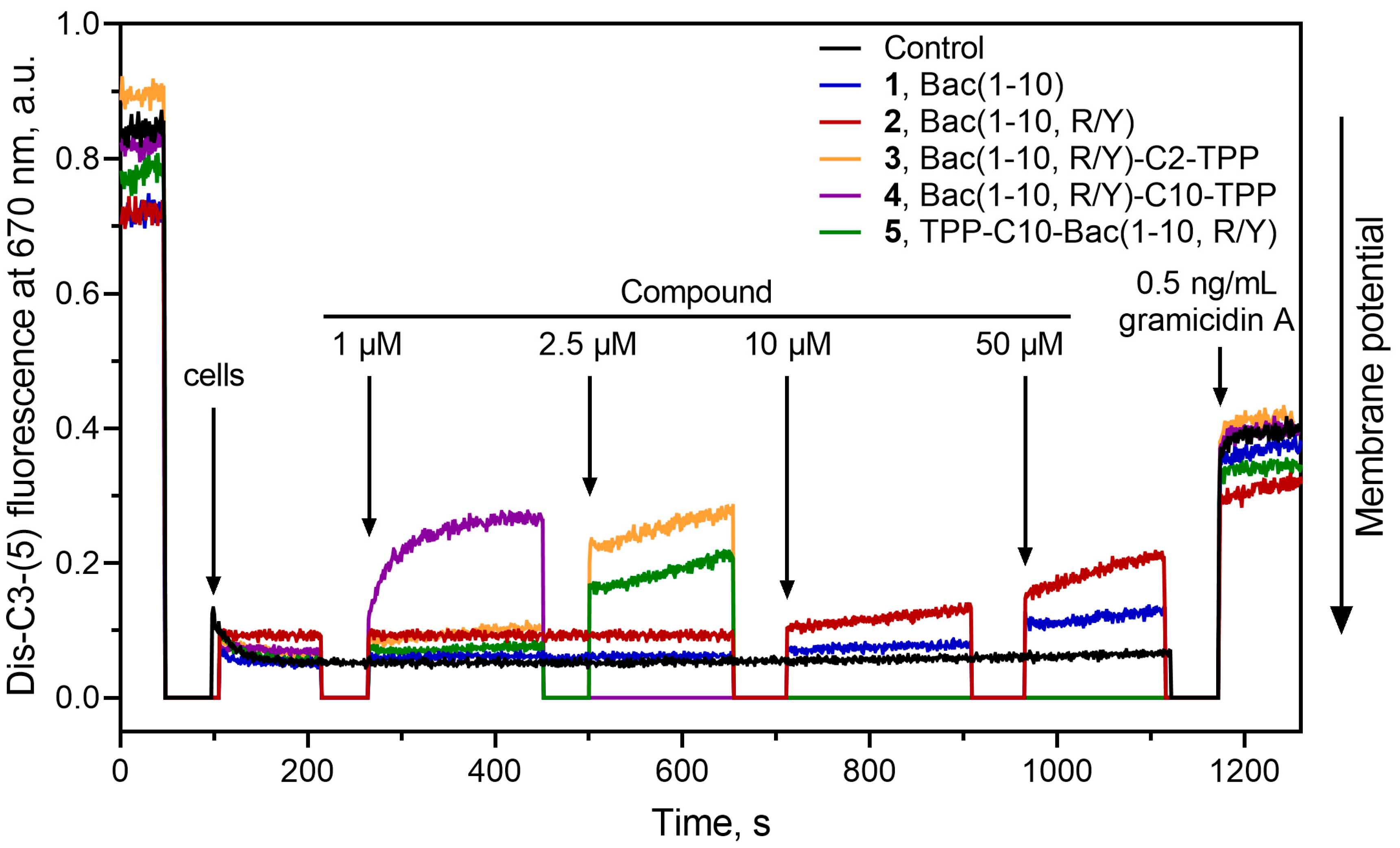 Preprints 92763 g005