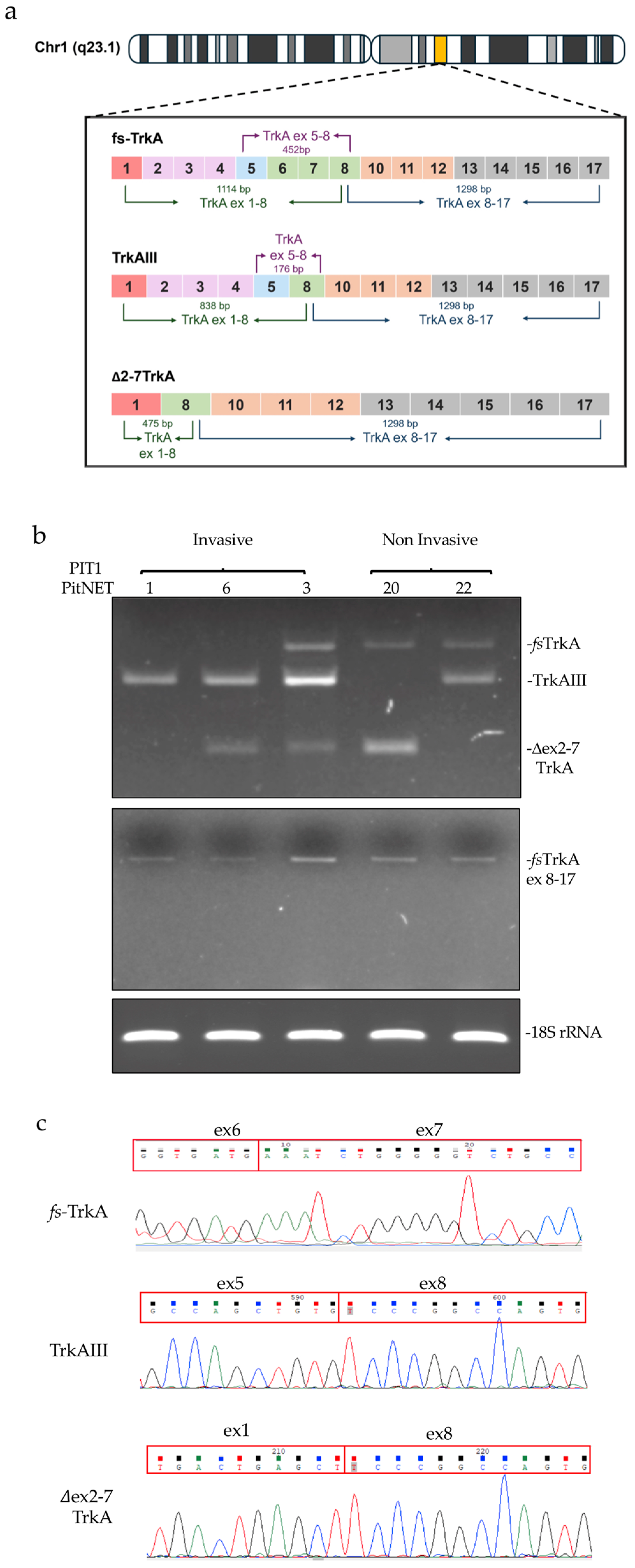 Preprints 97392 g001