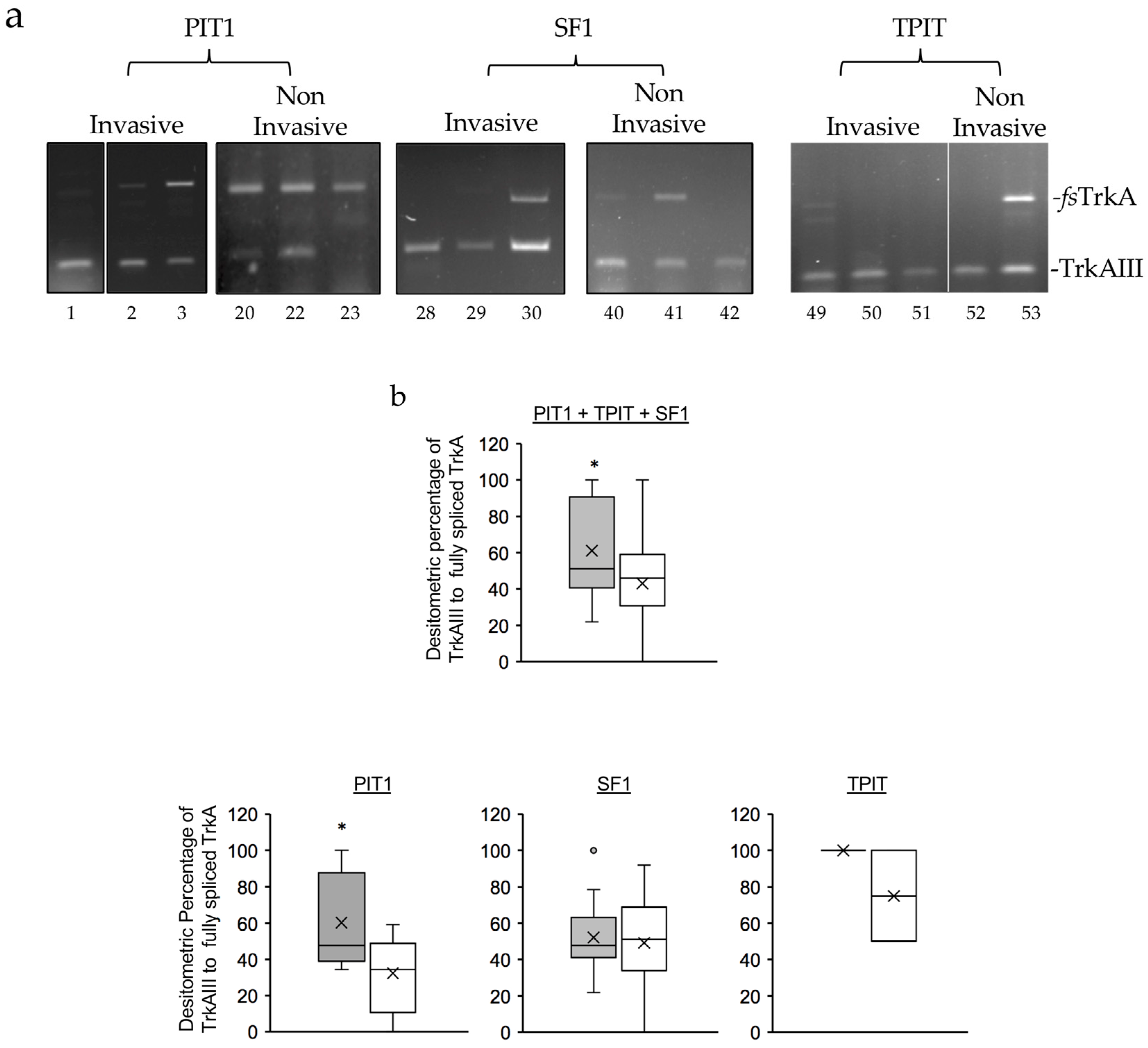 Preprints 97392 g002