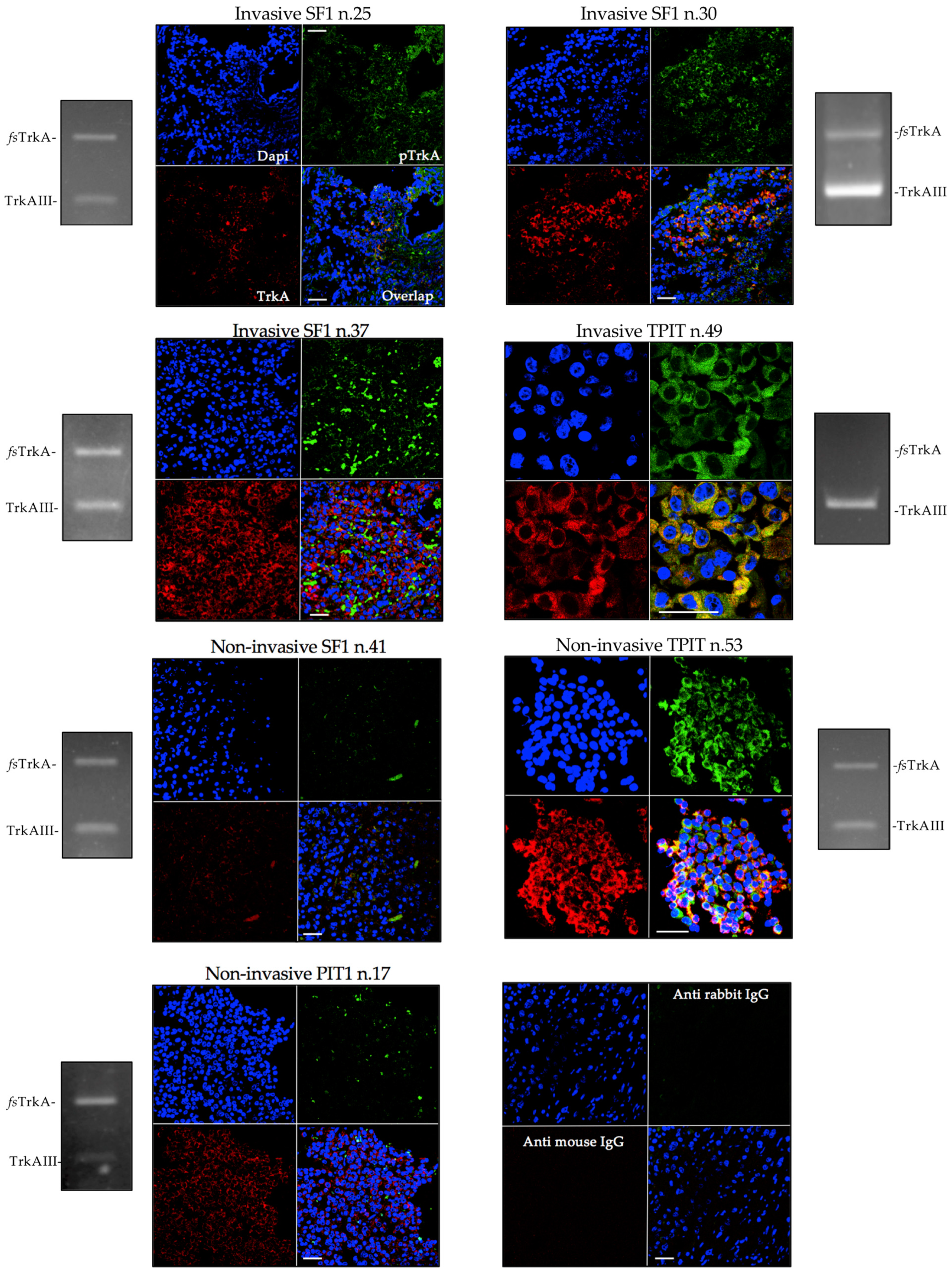 Preprints 97392 g003