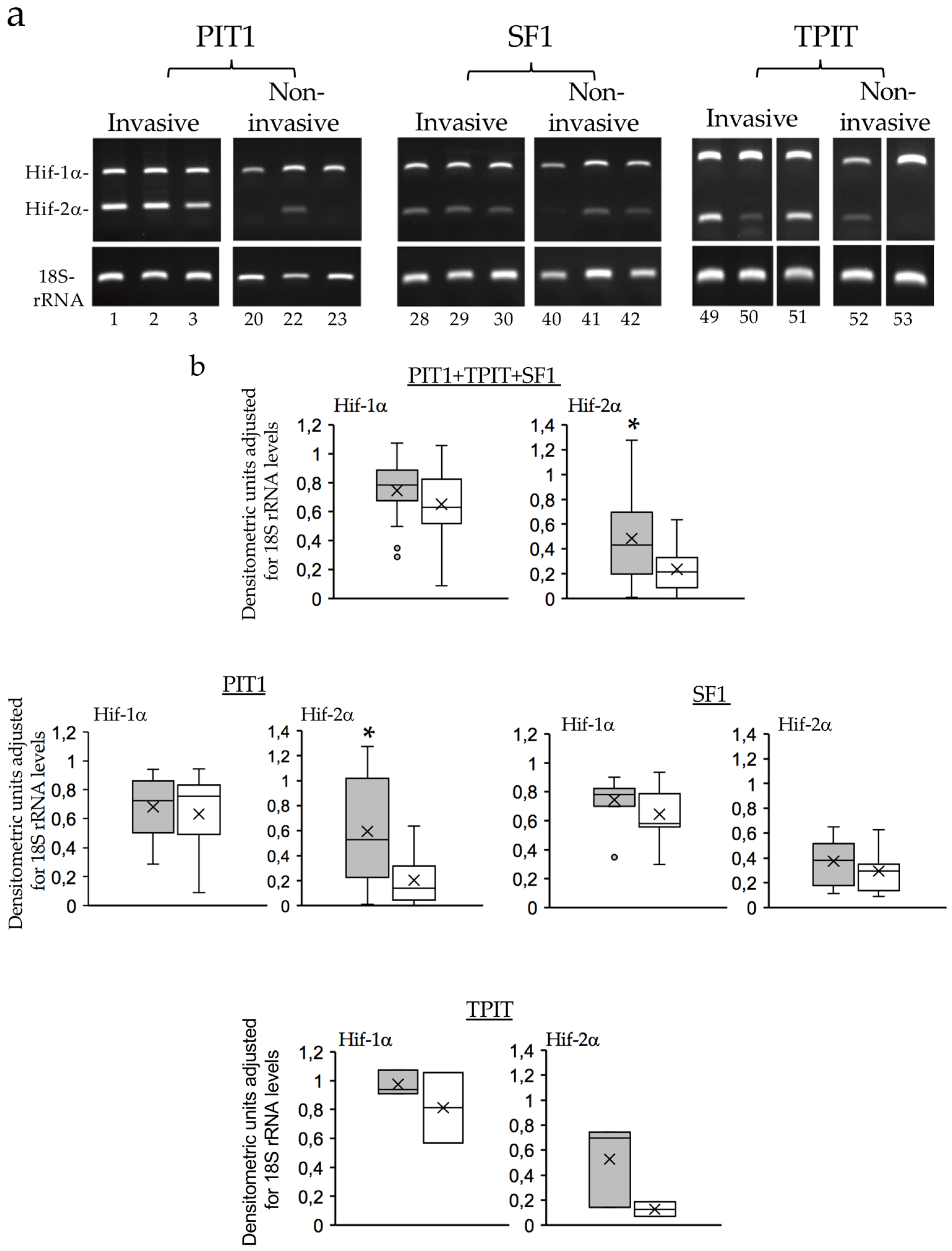 Preprints 97392 g004