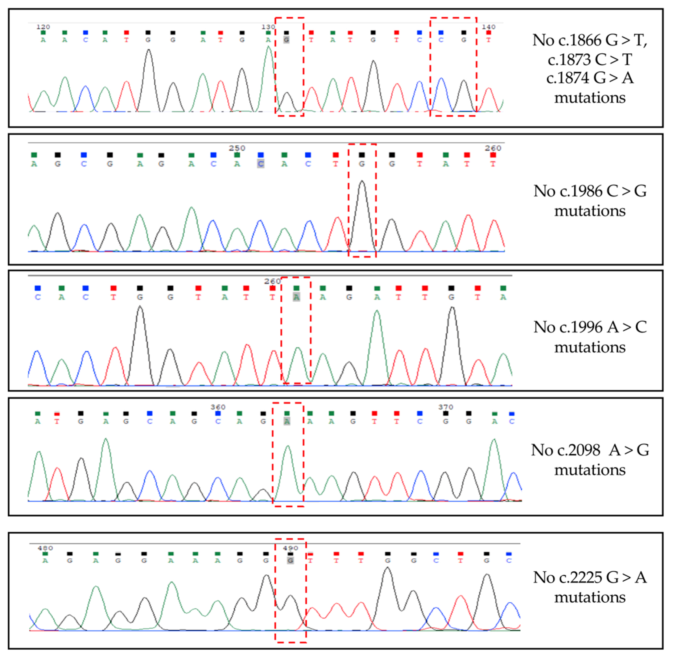 Preprints 97392 g005