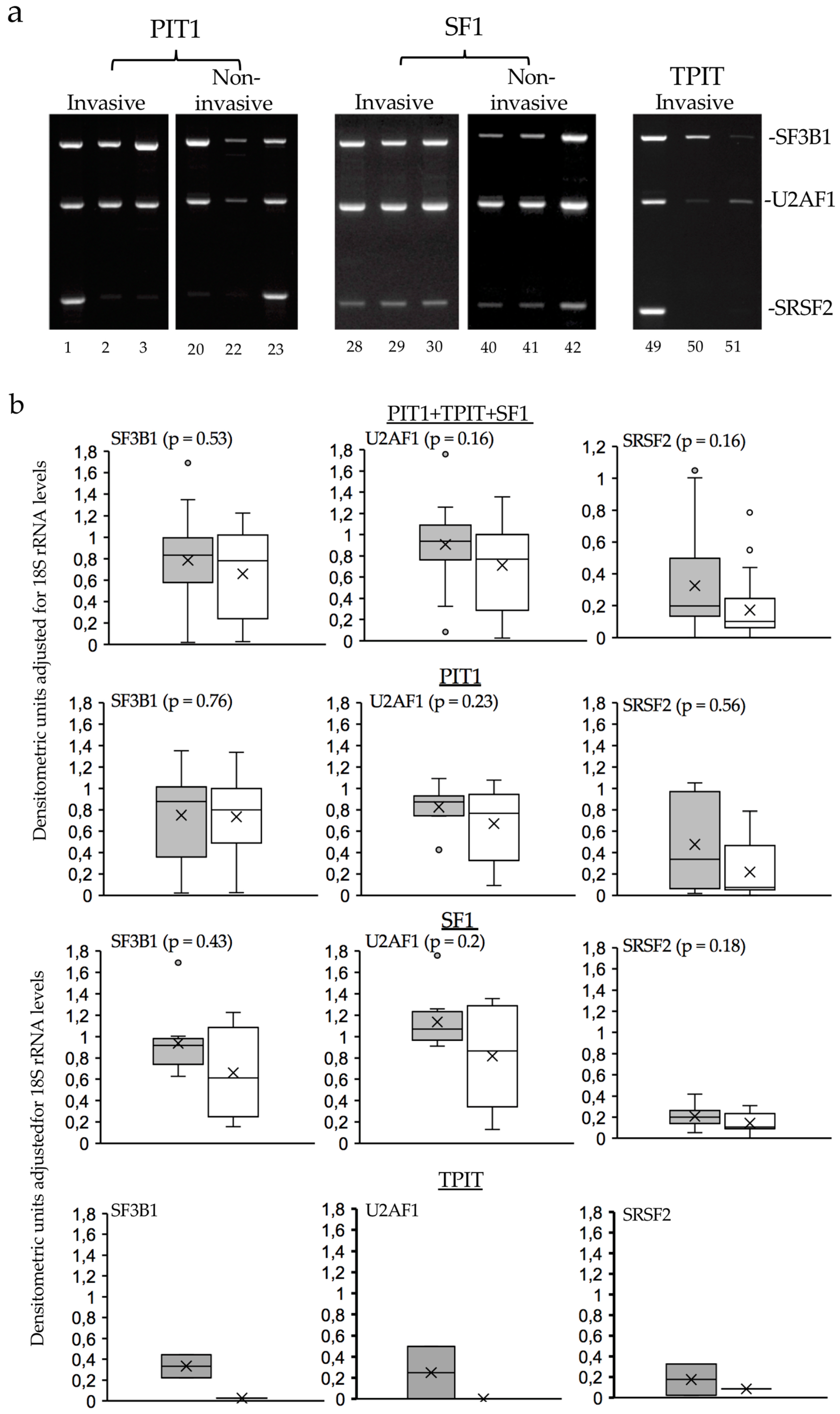 Preprints 97392 g006